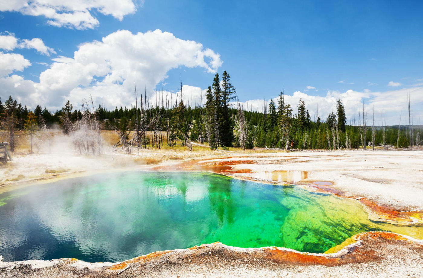 Yellowstone – Cody – Billings