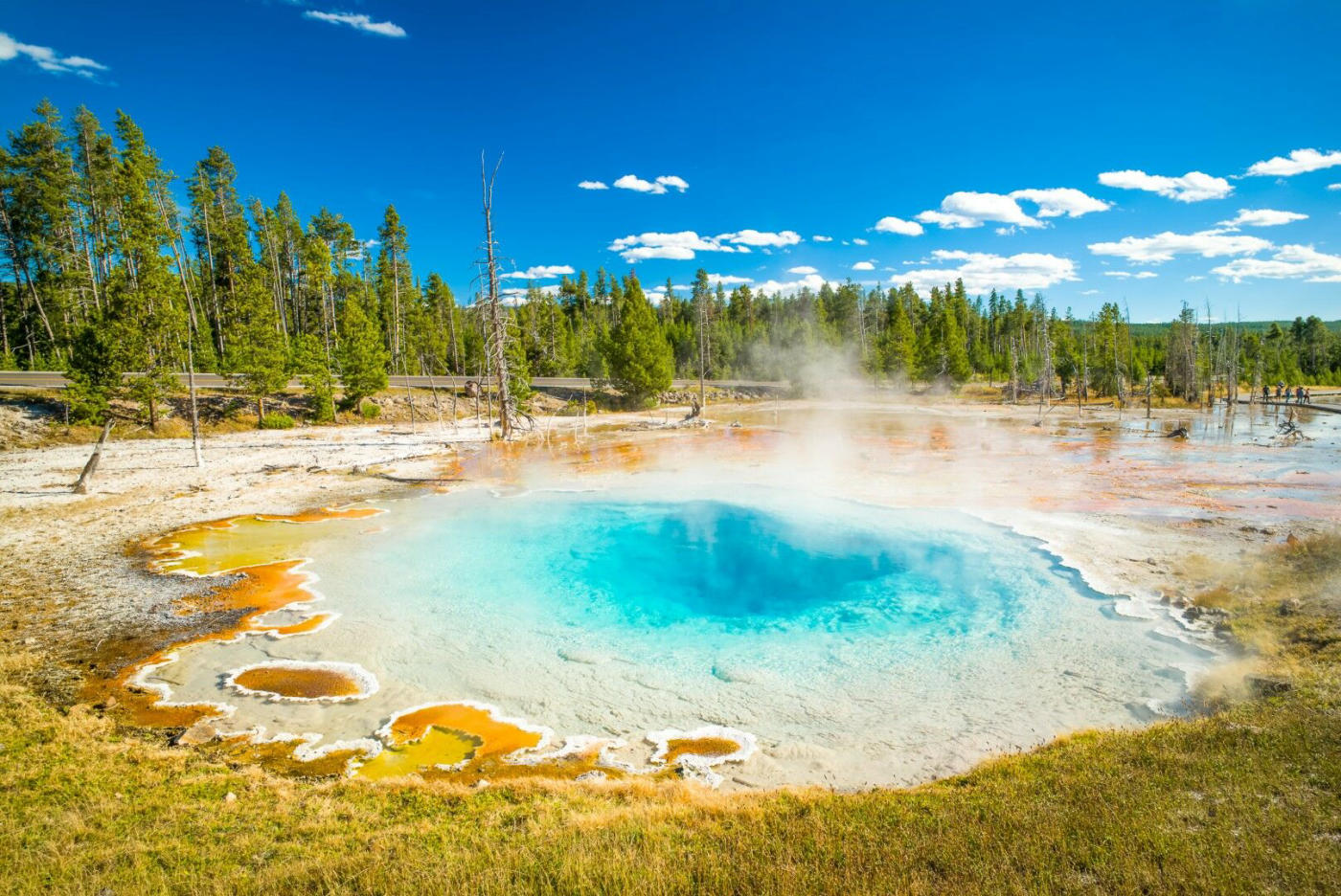 From the Rockies to Lake Tahoe: canyons, Mount Rushmore and Yellowstone