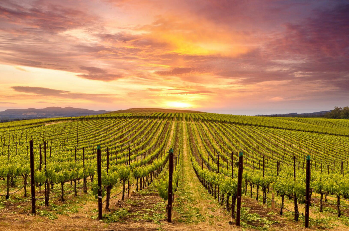 Sacramento – Lodi