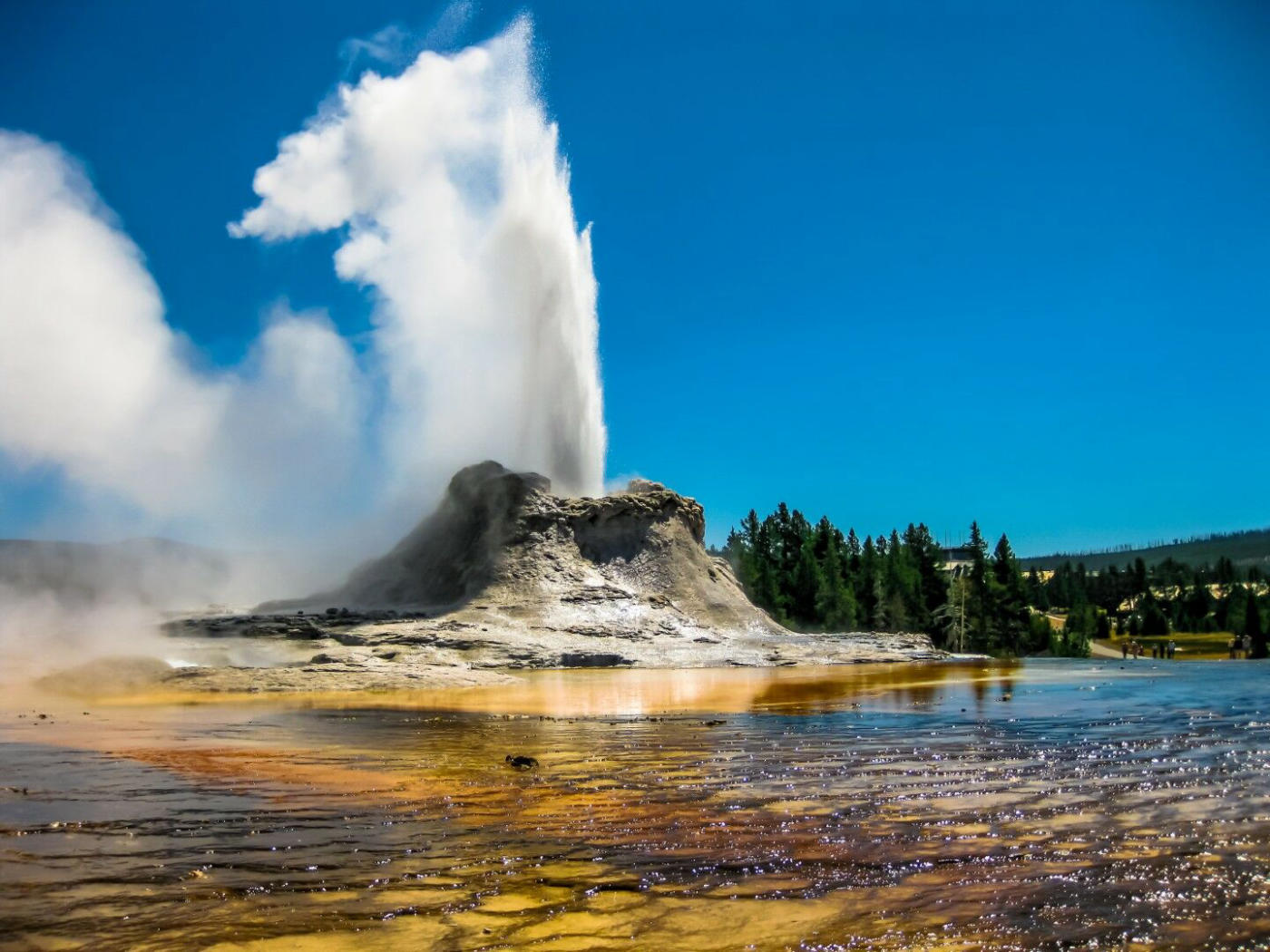Yellowstone – Helena