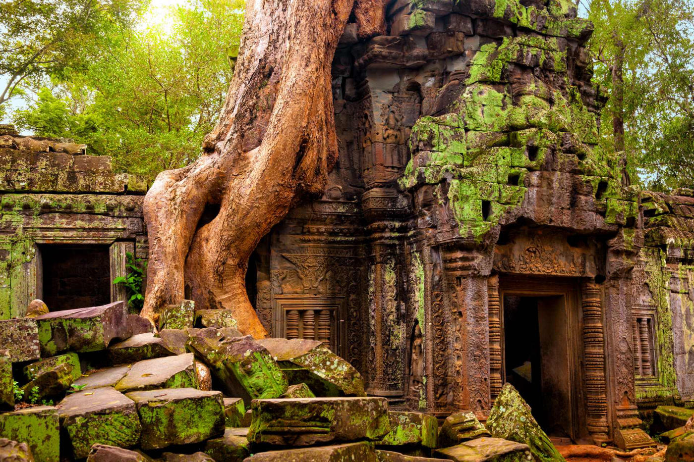 Siem Reap – vuelo de regreso