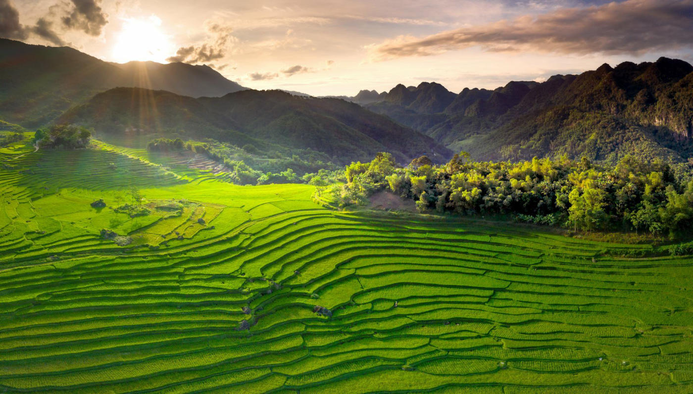 Vietnam Off the Beaten Track: Moc Chau, Pu Luong, Lan Ha Bay and the Mekong