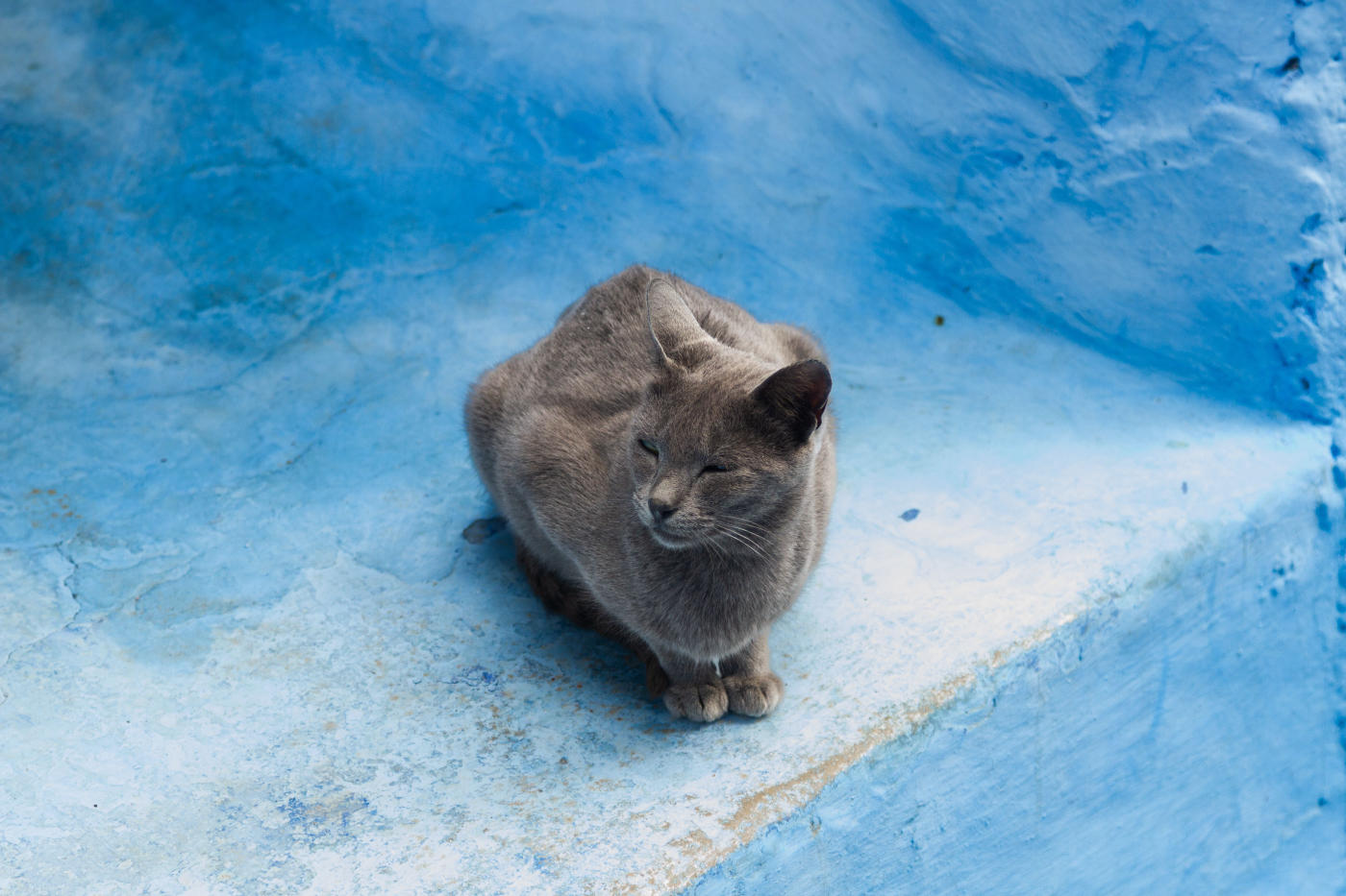 Chefchaouen — photo 3