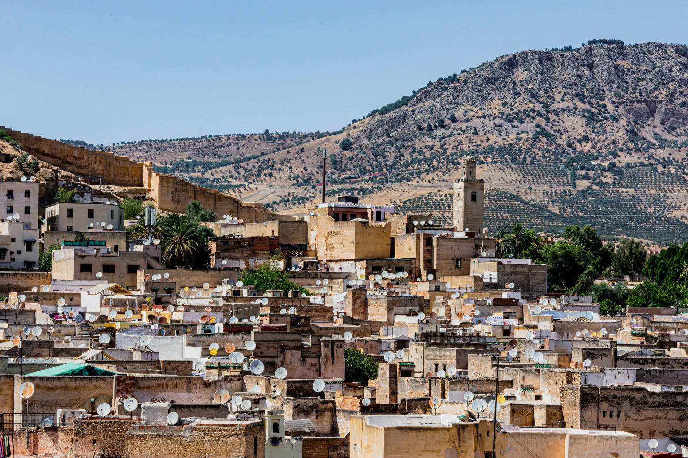 Fez — photo 3
