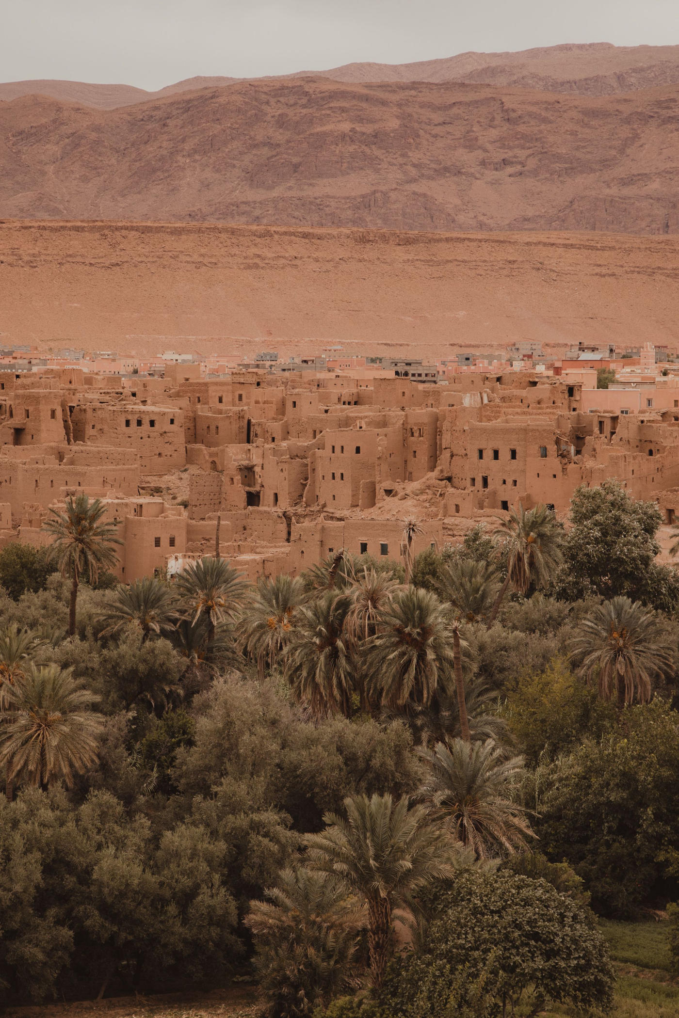 Kasbahs y el valle de las rosas