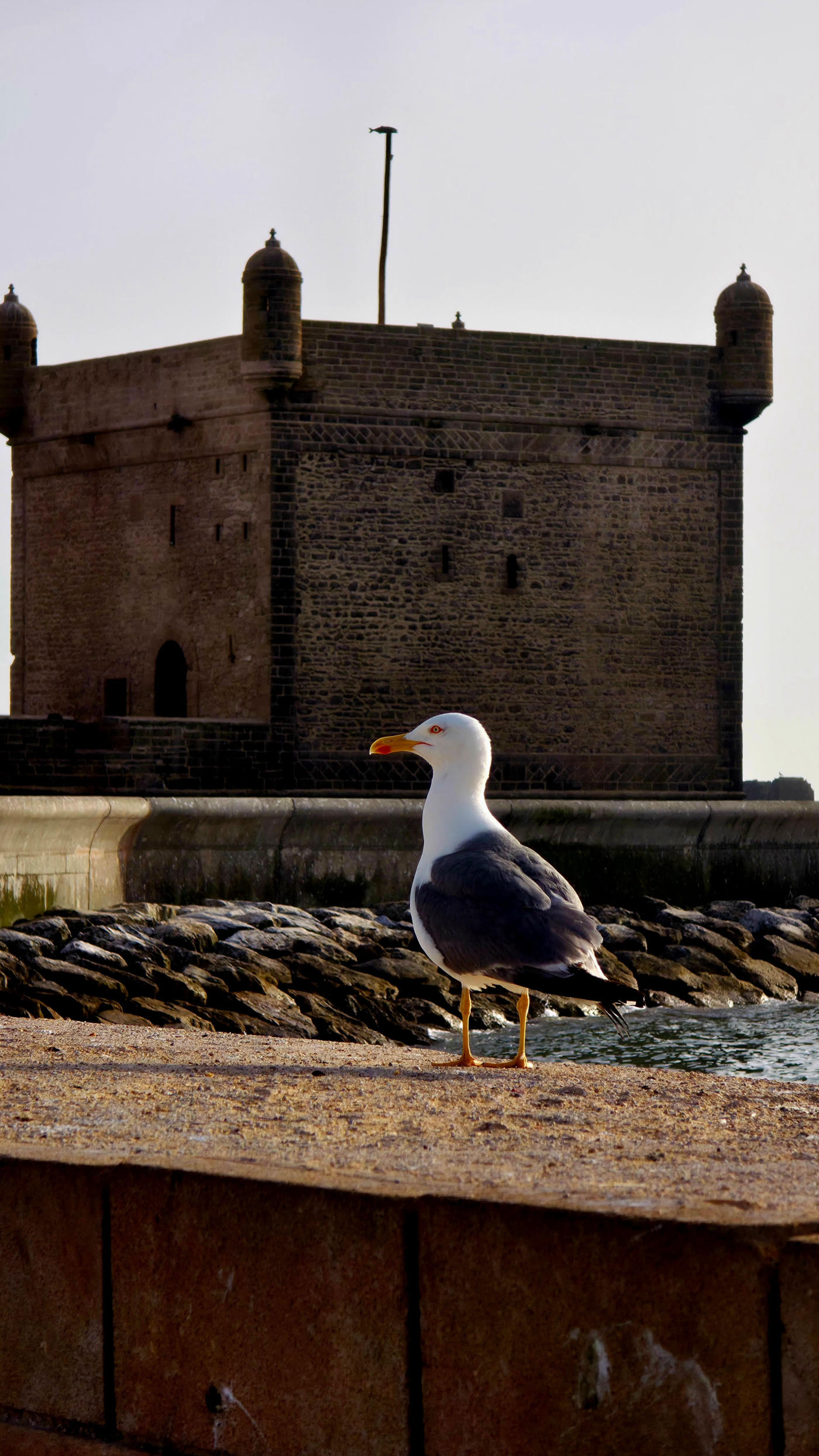 Essaouira — photo 4