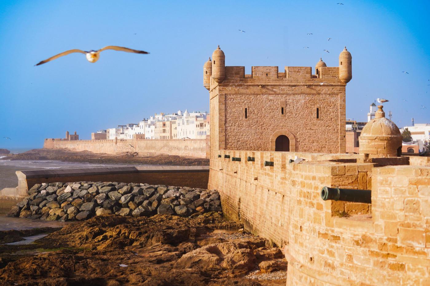 Essaouira — photo 5