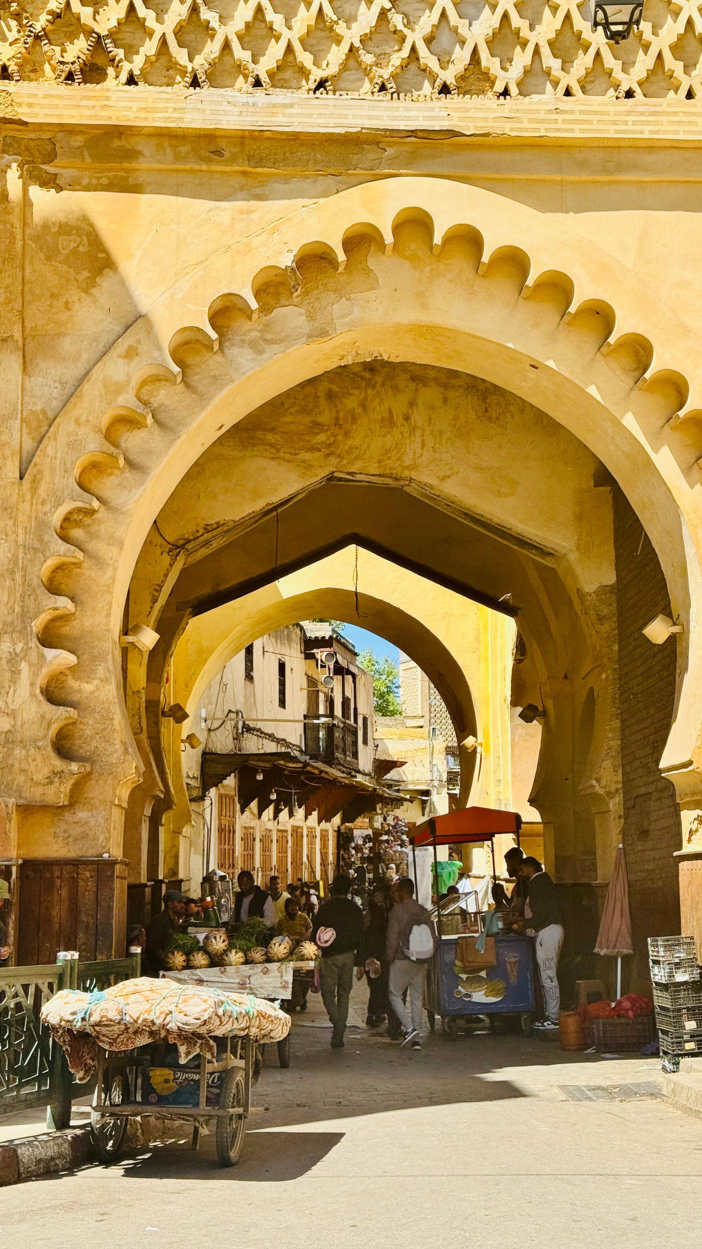 Fès, Essaouira et Agadir : médinas et littoral