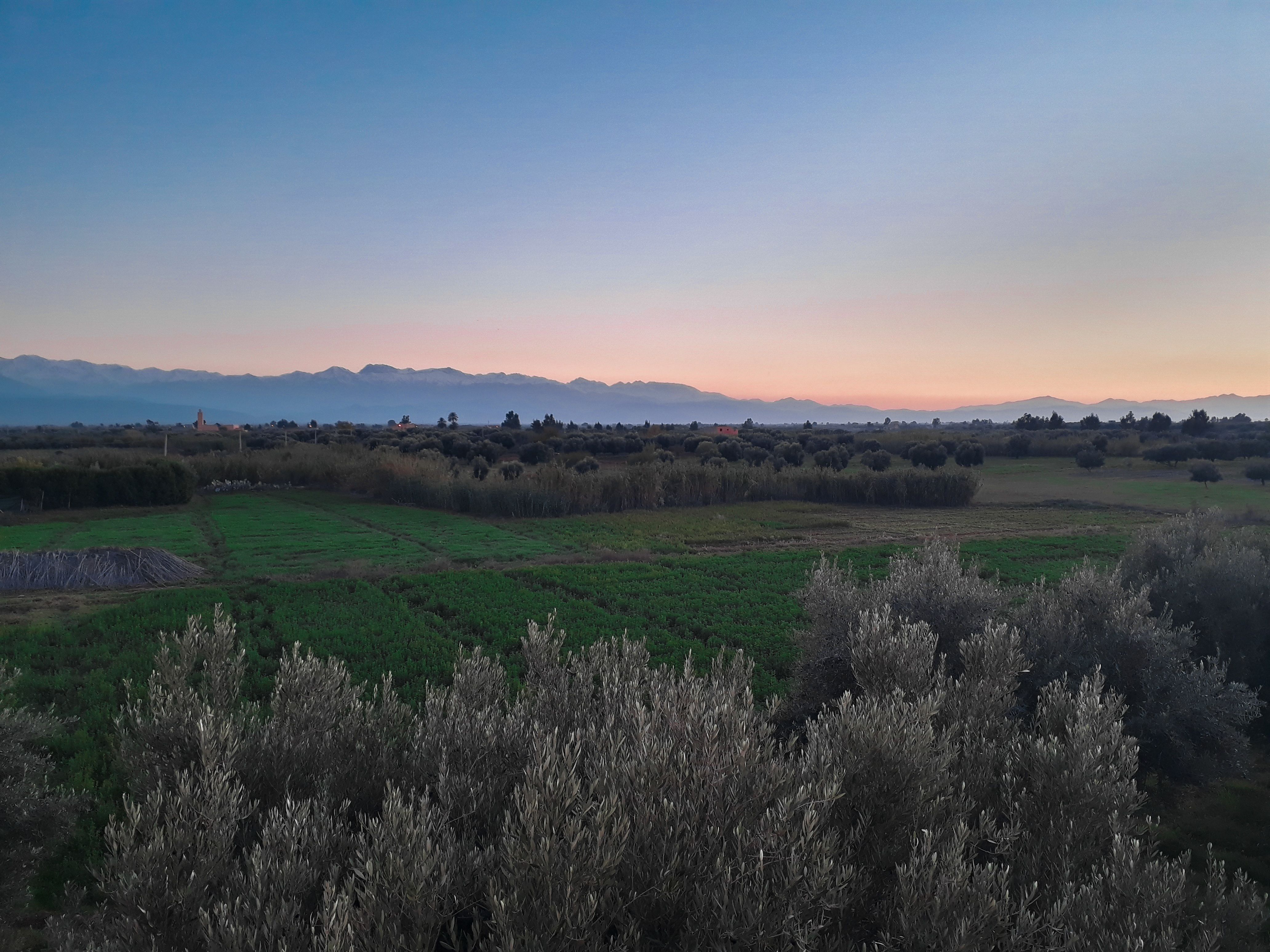 La campiña de Marrakech — photo 3