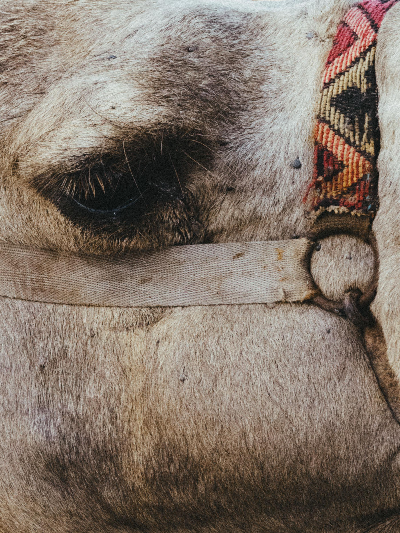 El desierto de Agafay — photo 1