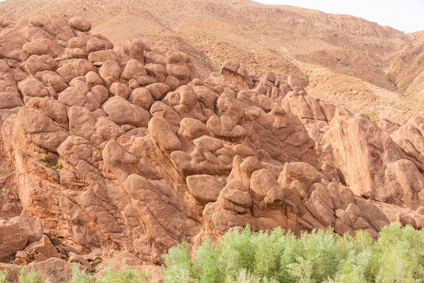Skoura — photo 3