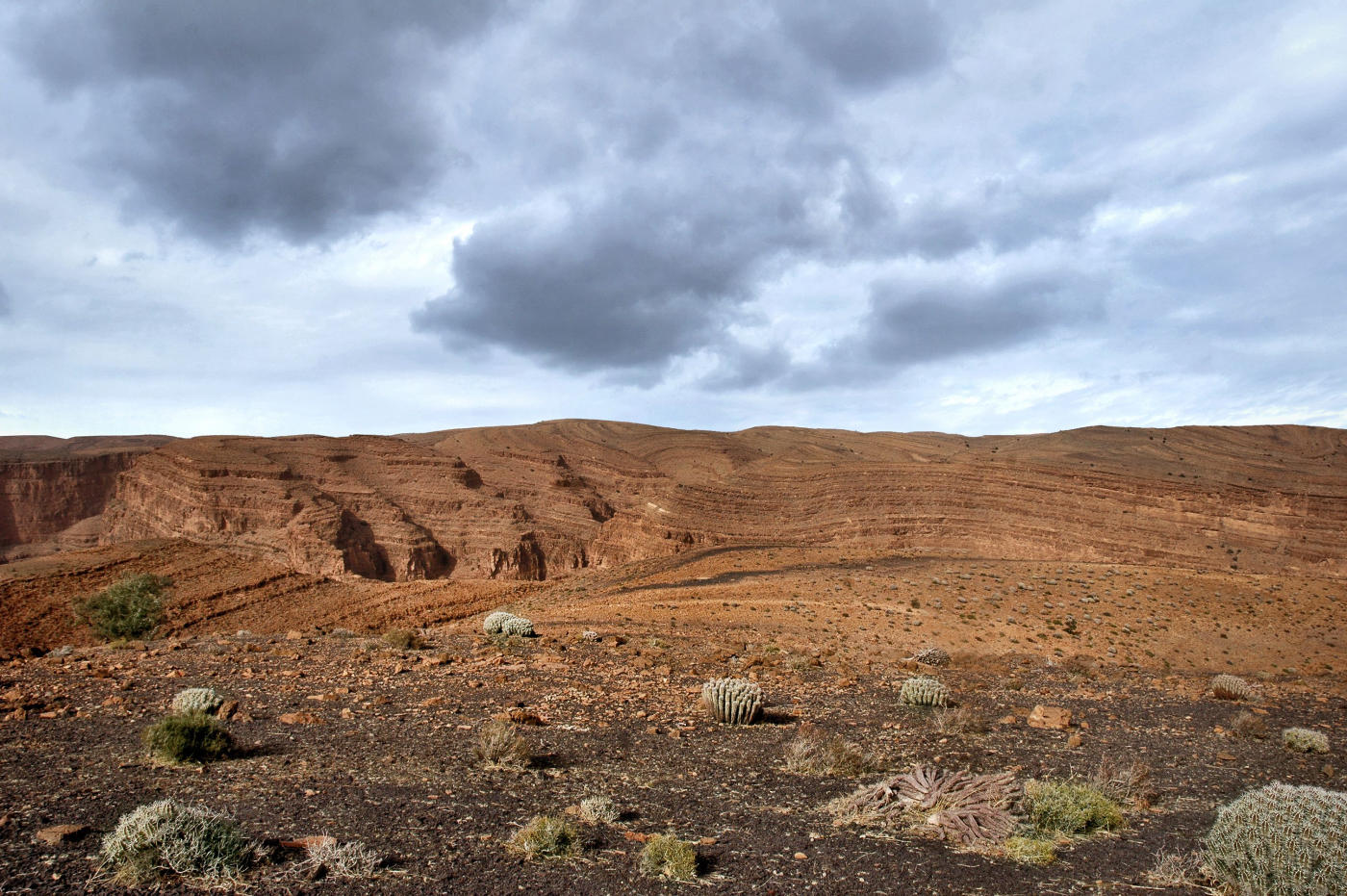 El cruce de la hamada