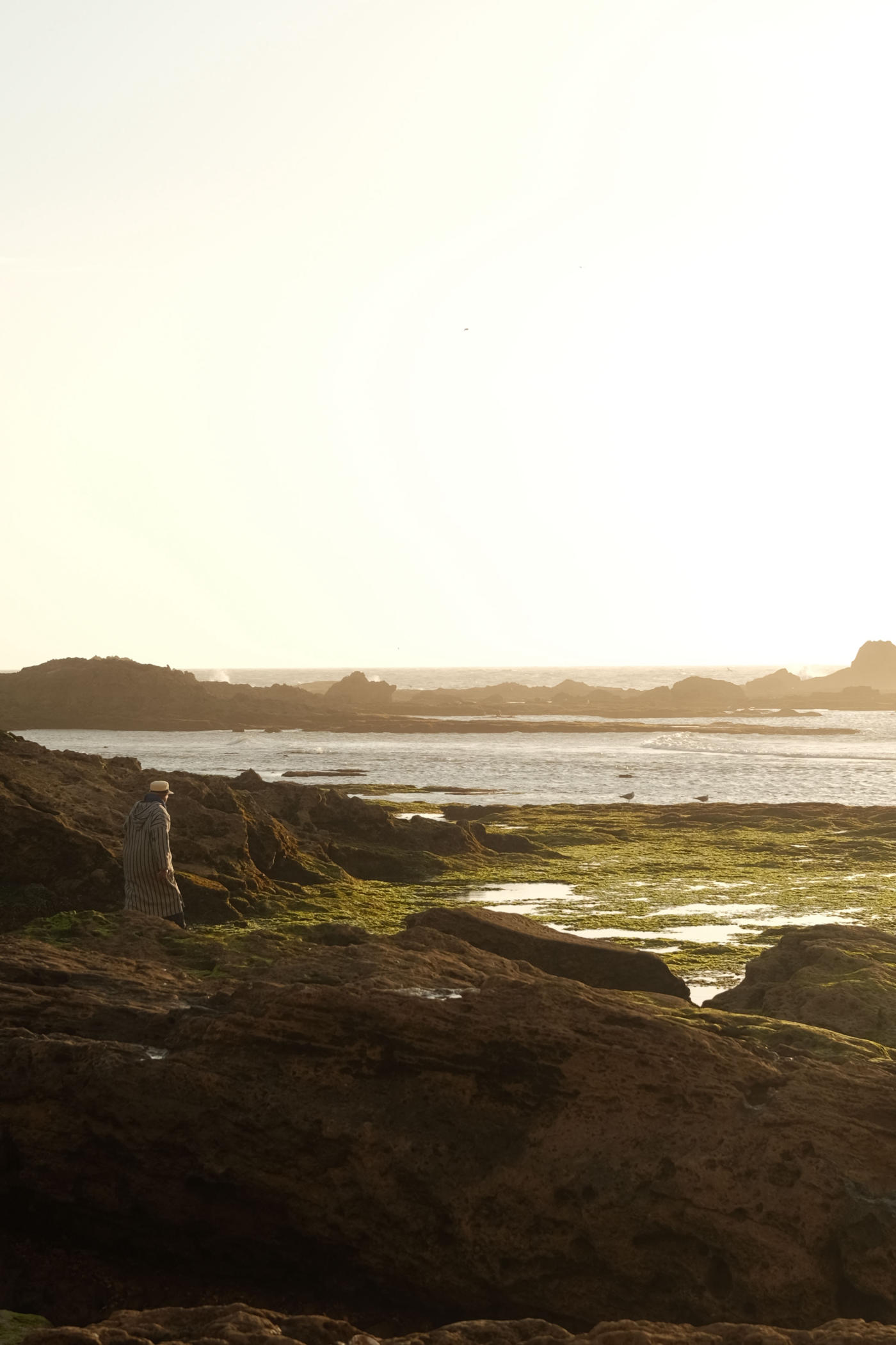 A sunset picnic