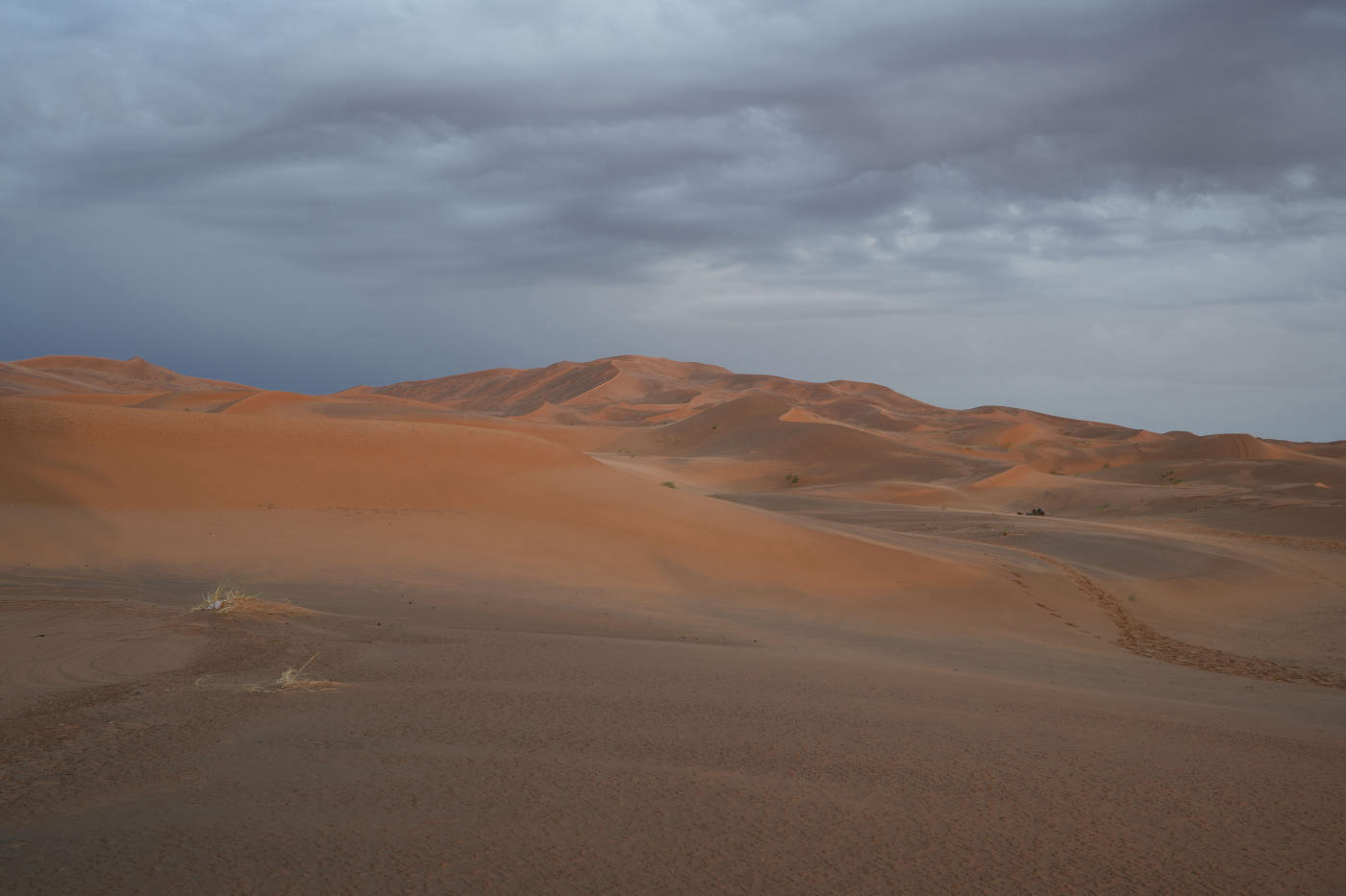 El desierto del Sahara — photo 1