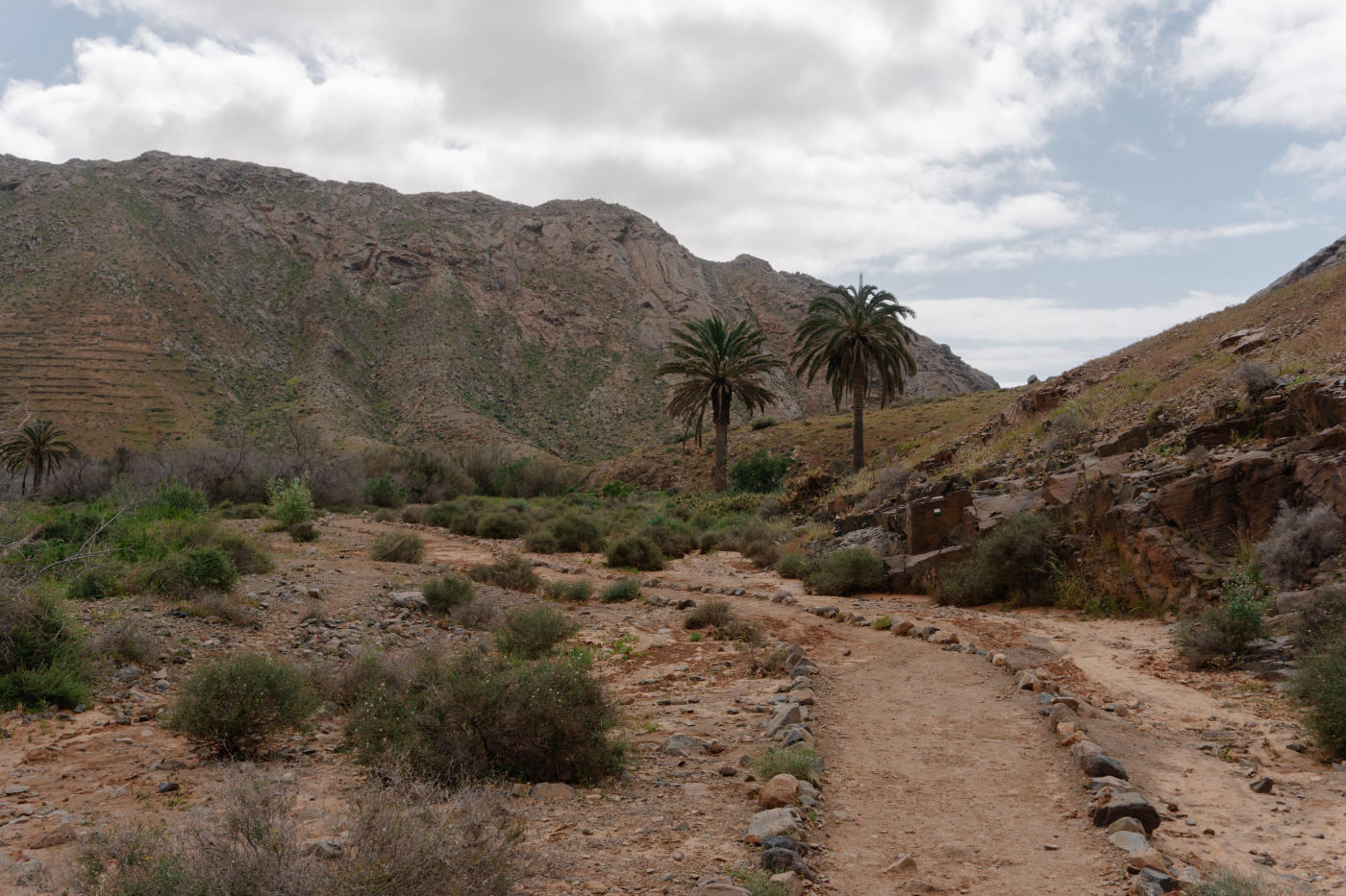Caminata en el Alto Atlas