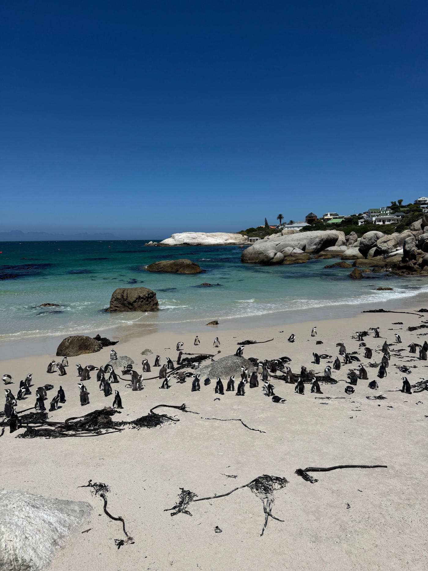 De Ciudad del Cabo al Kruger: viñedos y safari — photo 4