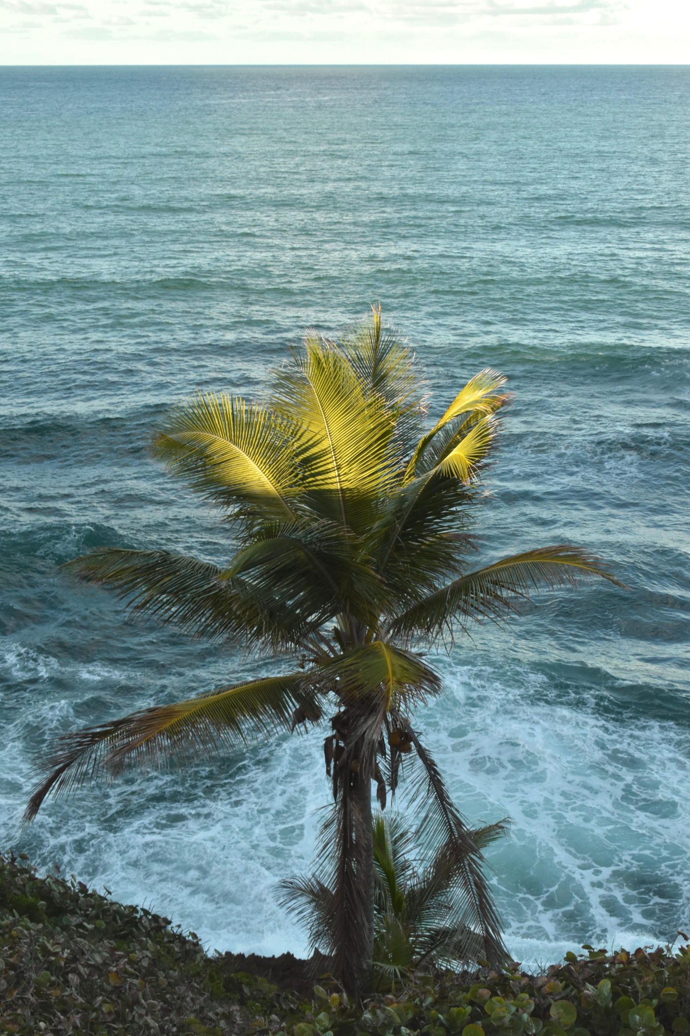 Bridgetown à la Côte Est — photo 7