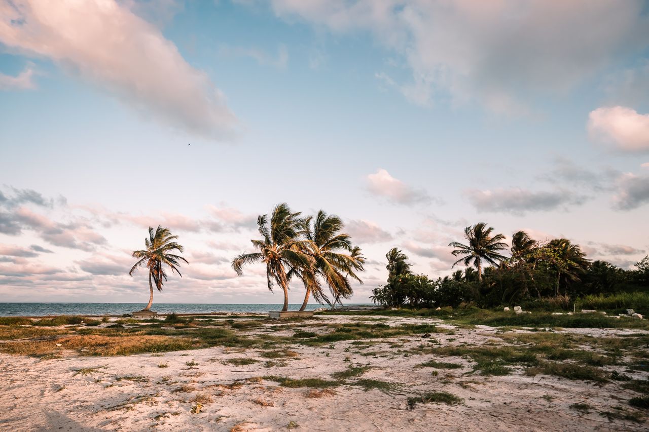 Pensión Frente al Mar de Caye Caulker