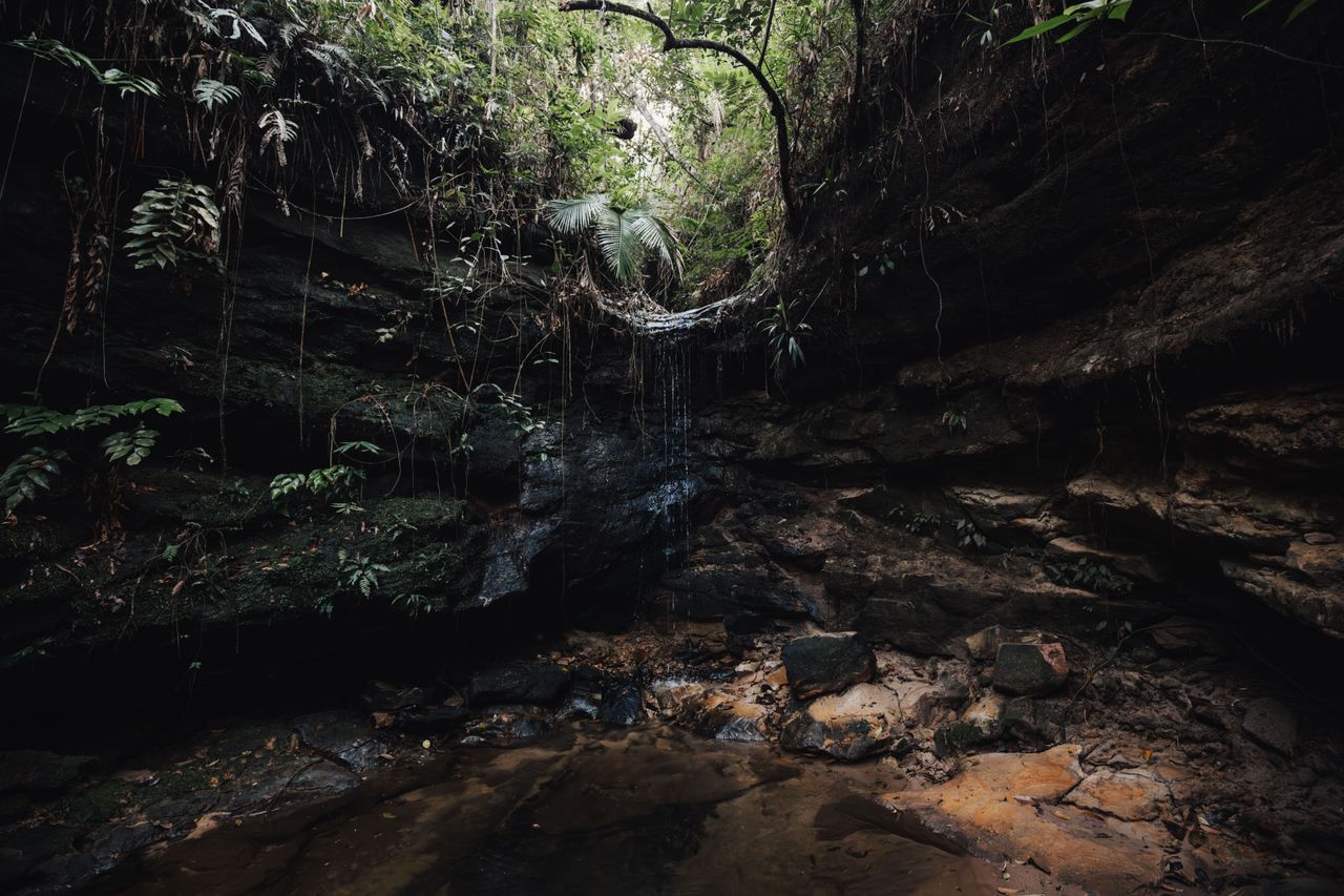 Lodge de Selva de Cayo
