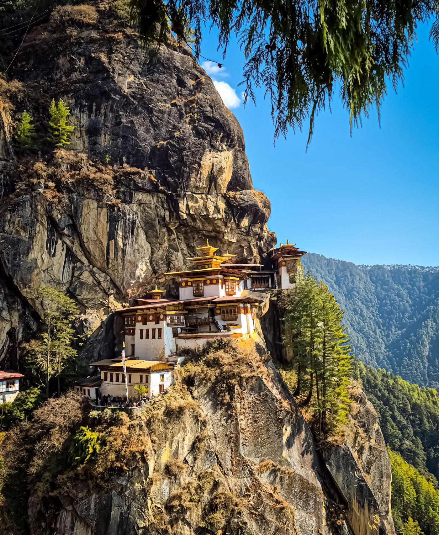 De Paro a Punakha — photo 3