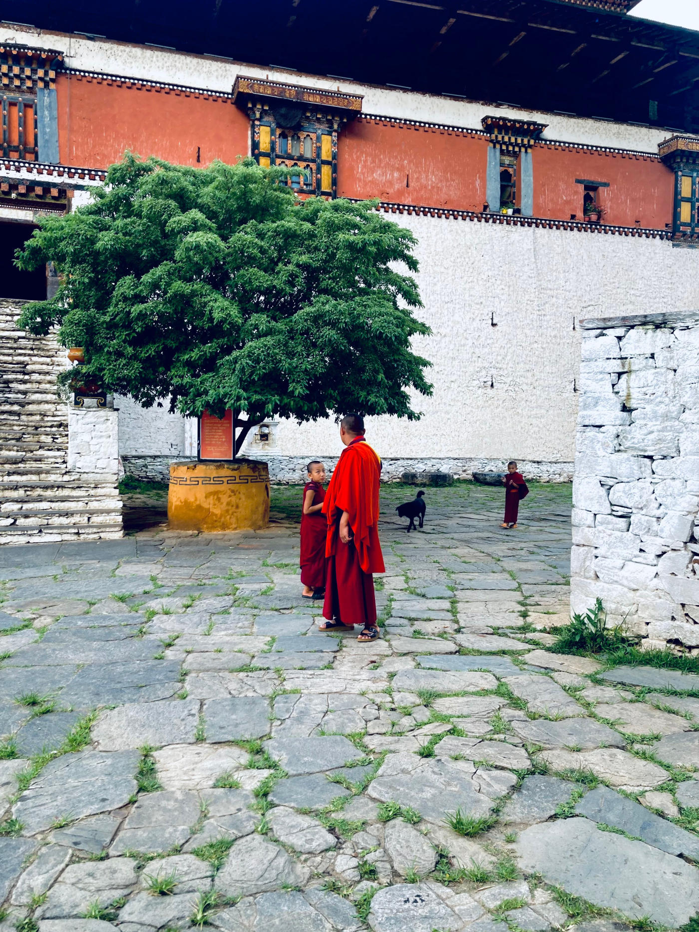 De Paro a Punakha — photo 1