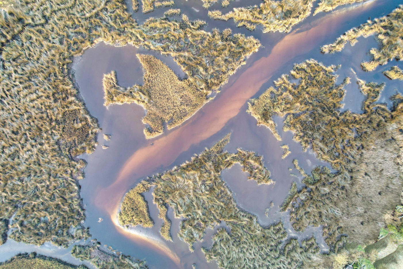 Le delta de l'Okavango en mokoro — photo 4