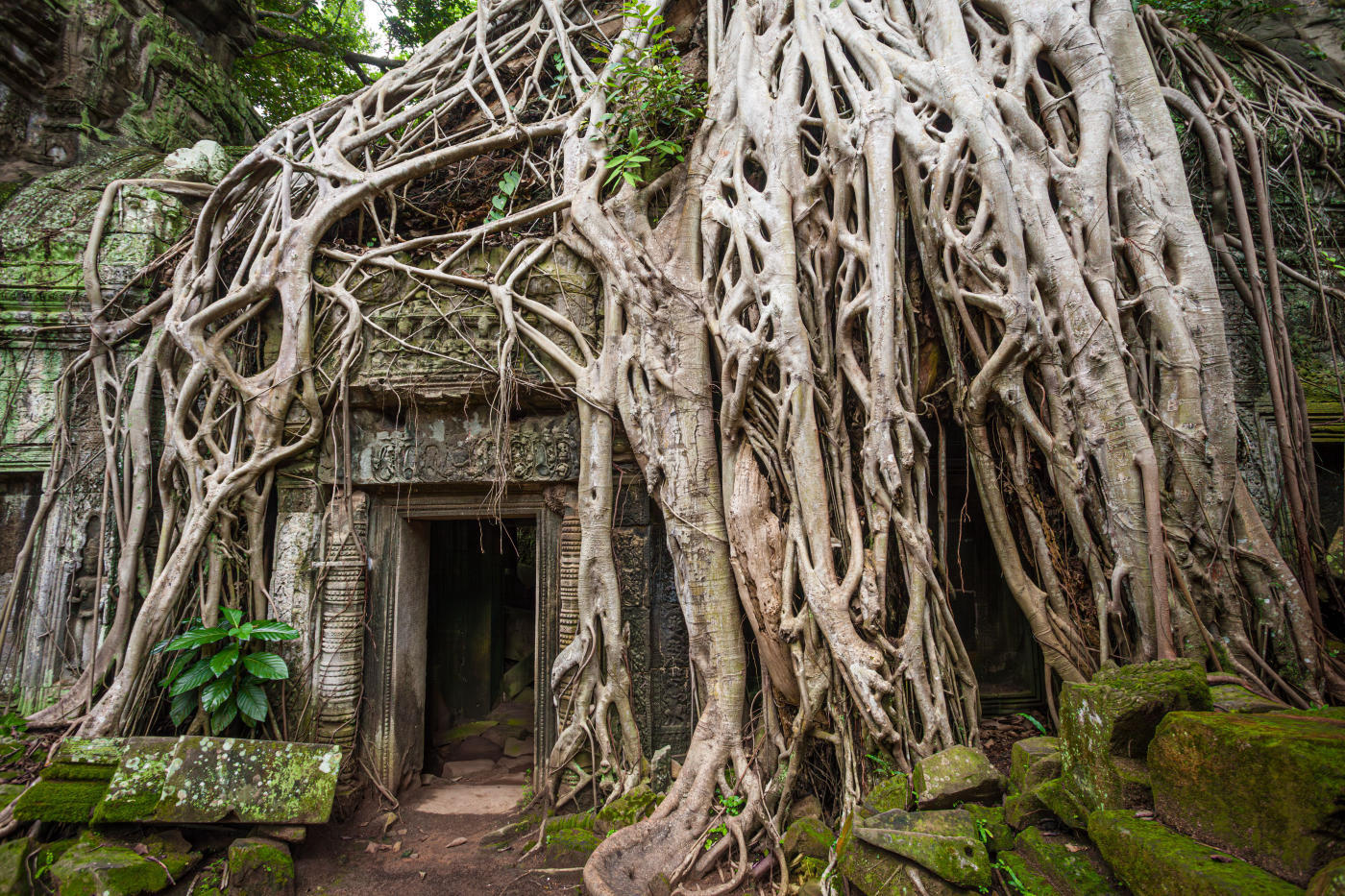 Siem Reap and Tonlé Sap: Angkor and Floating Villages — photo 5