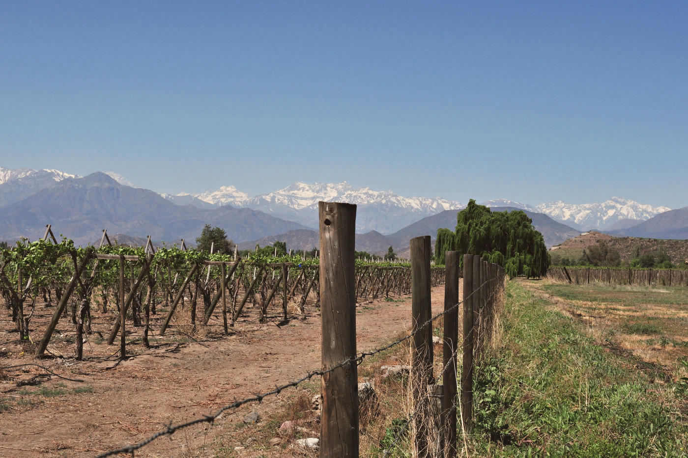 Santiago to San Pedro de Atacama: Vineyards and High-Altitude Desert — photo 4