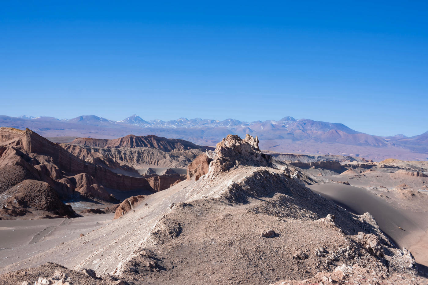 Santiago to San Pedro de Atacama: Vineyards and High-Altitude Desert — photo 5