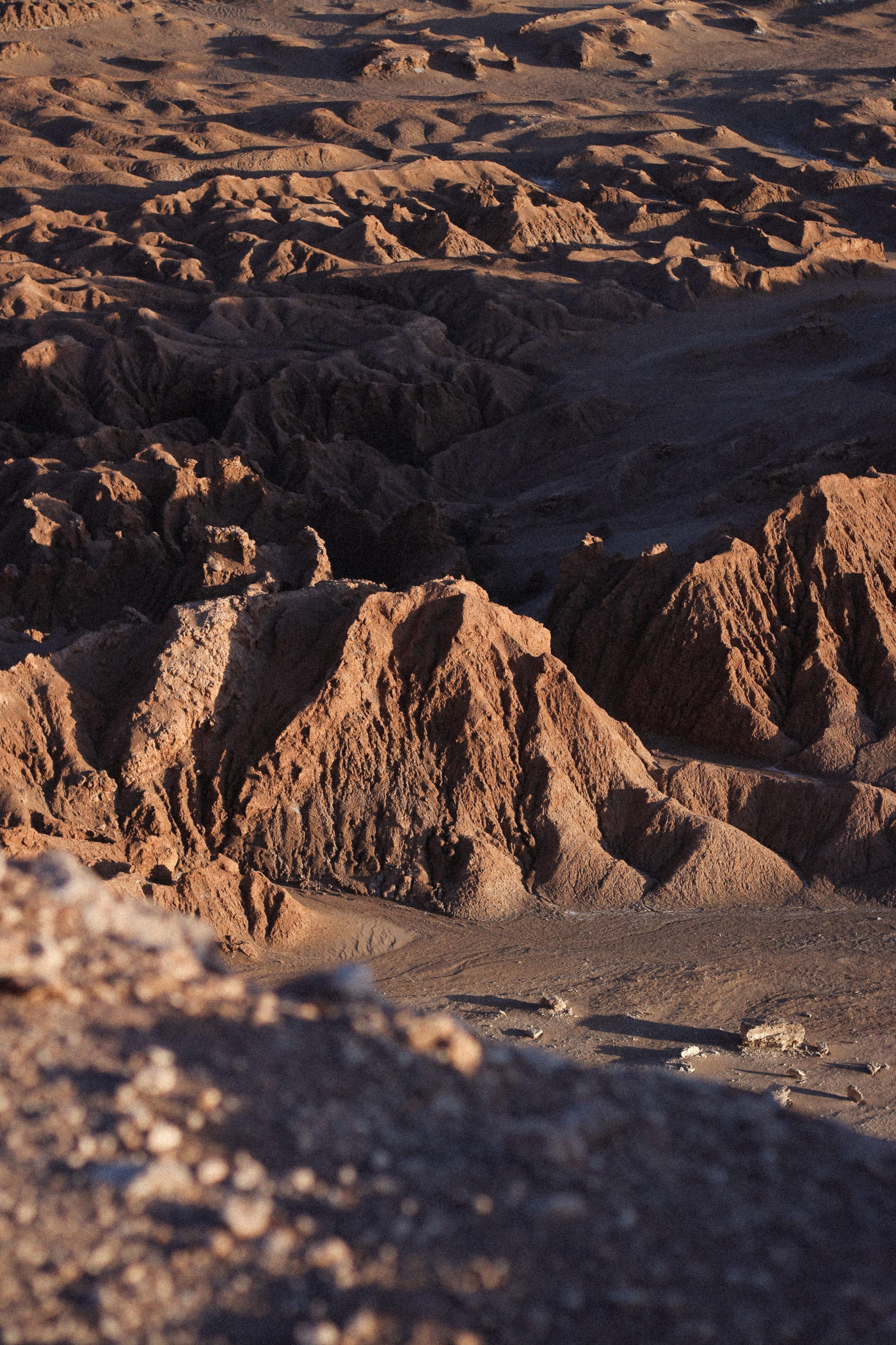 Santiago to San Pedro de Atacama: Vineyards and High-Altitude Desert — photo 6