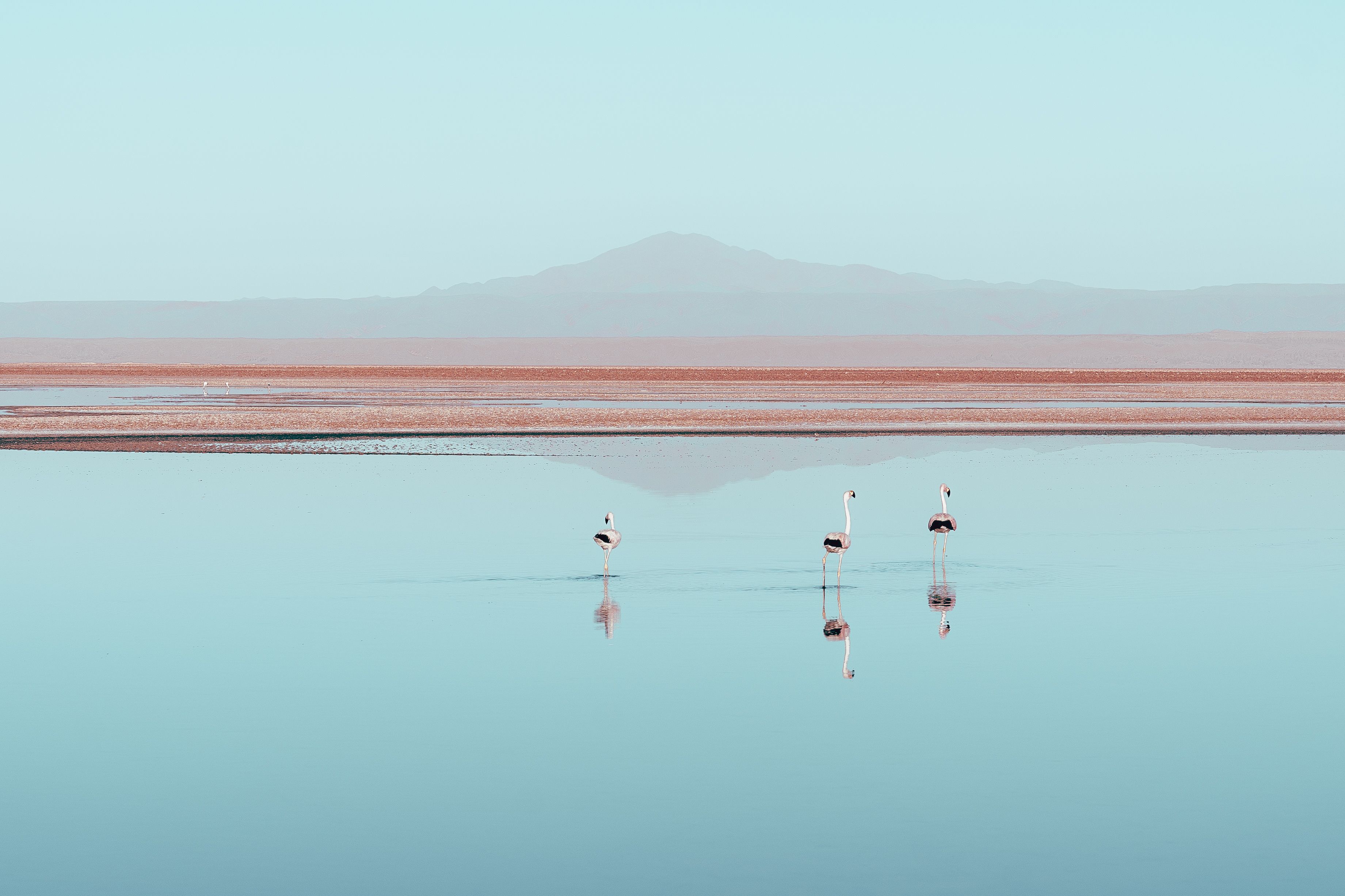 Santiago to San Pedro de Atacama: Vineyards and High-Altitude Desert — photo 7