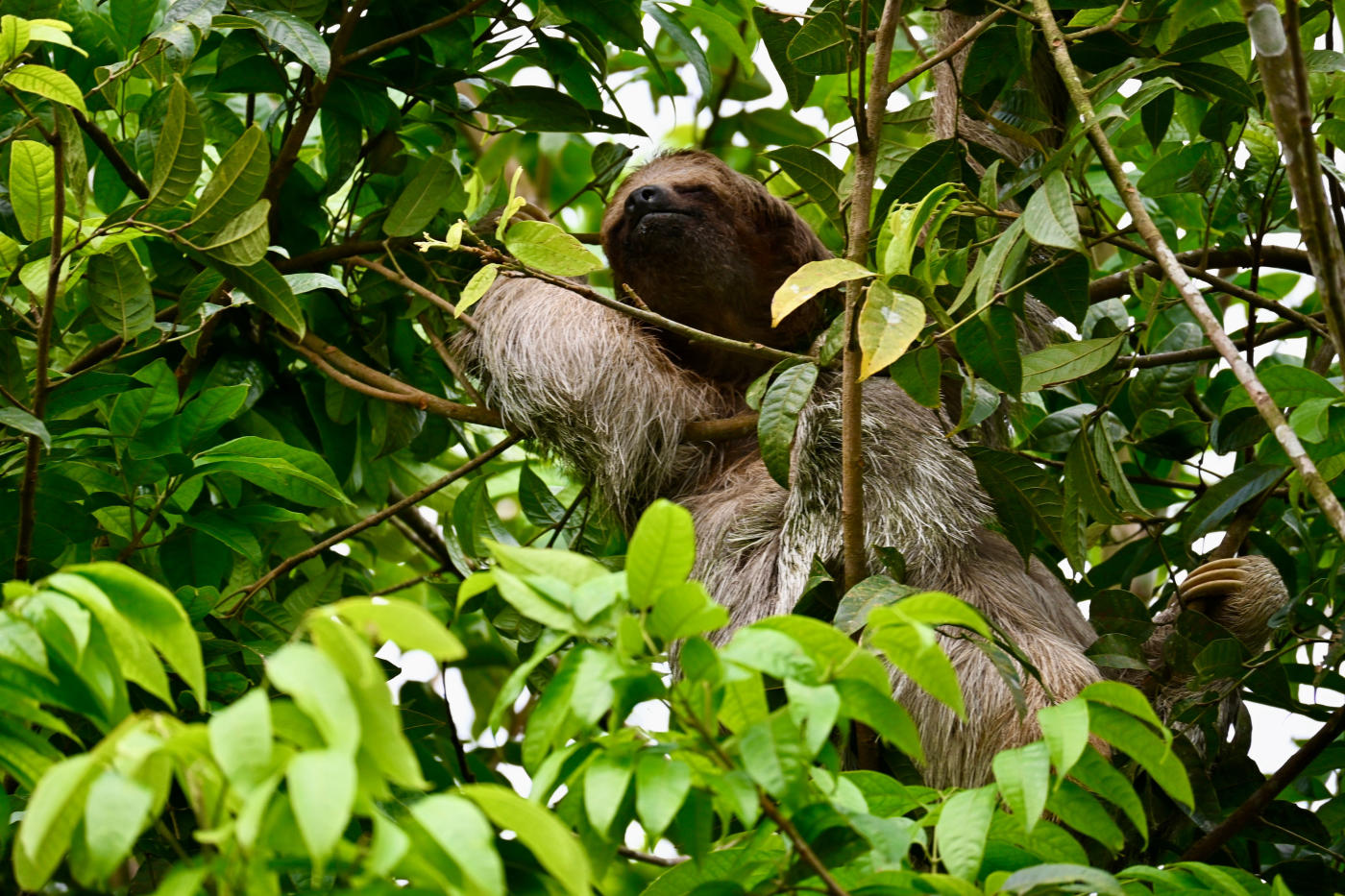 Arenal à Manuel Antonio : volcan et plage — photo 5