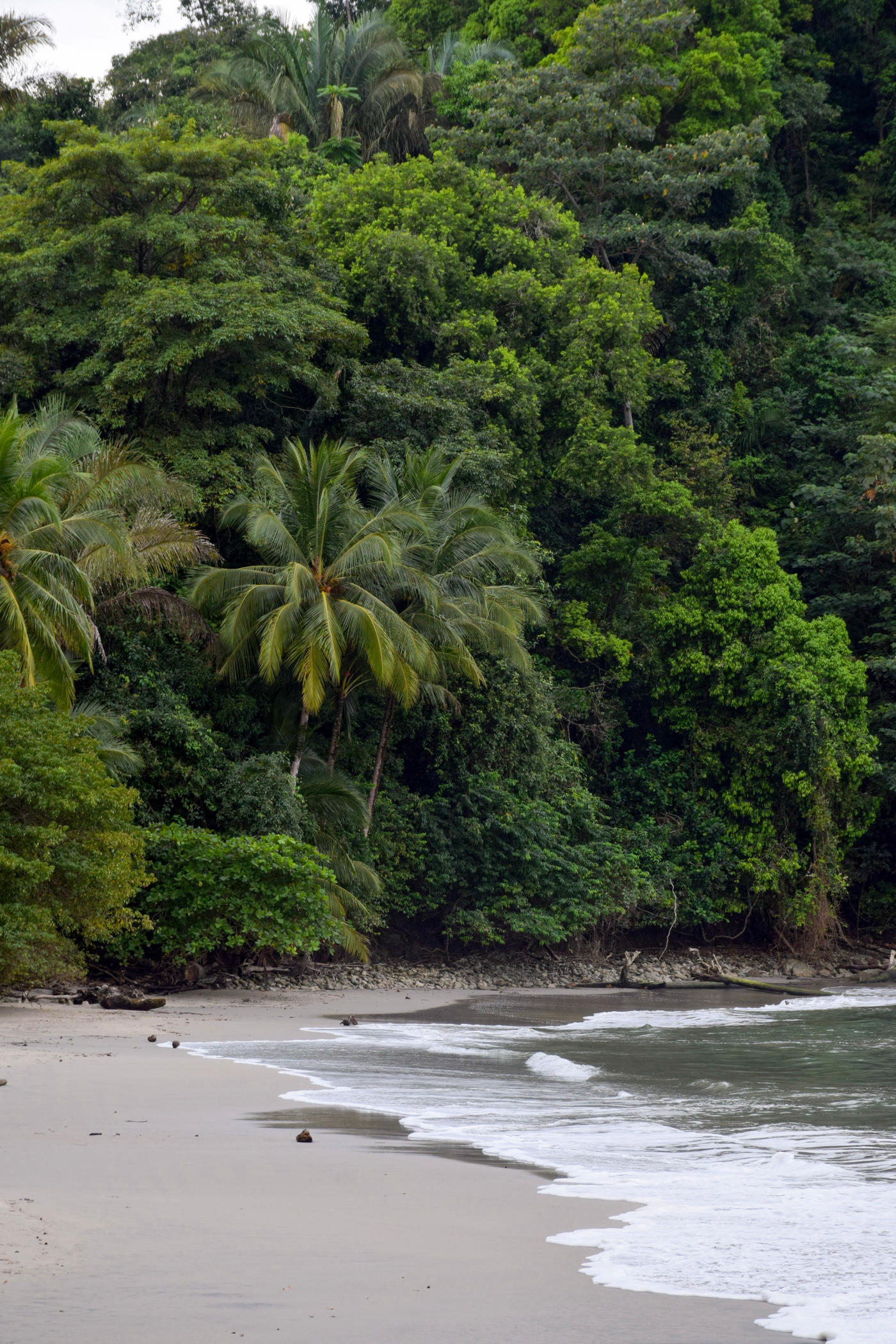 Arenal à Manuel Antonio : volcan et plage — photo 6