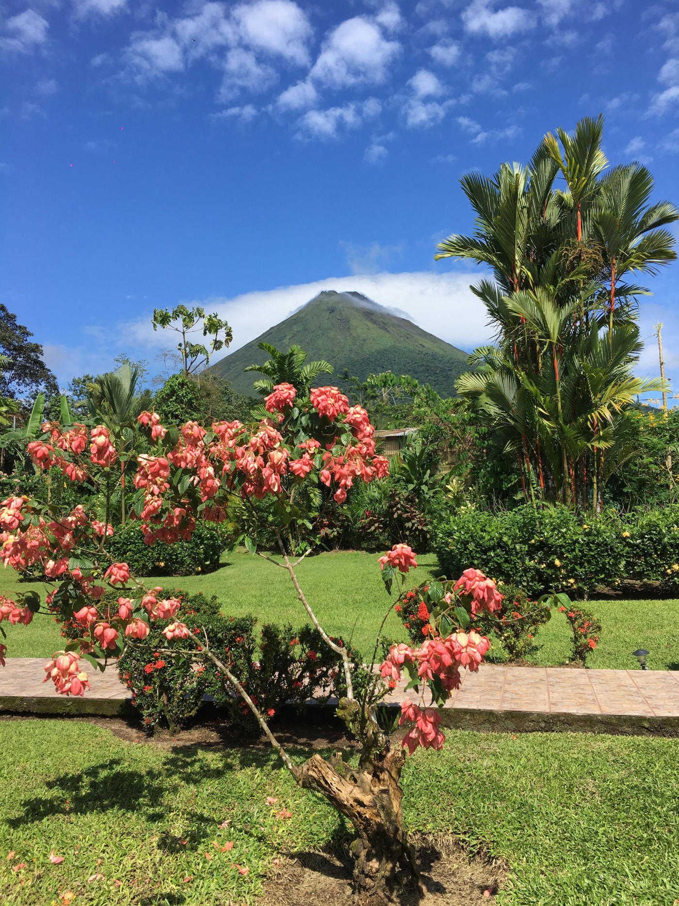 Arenal Volcano Lodge