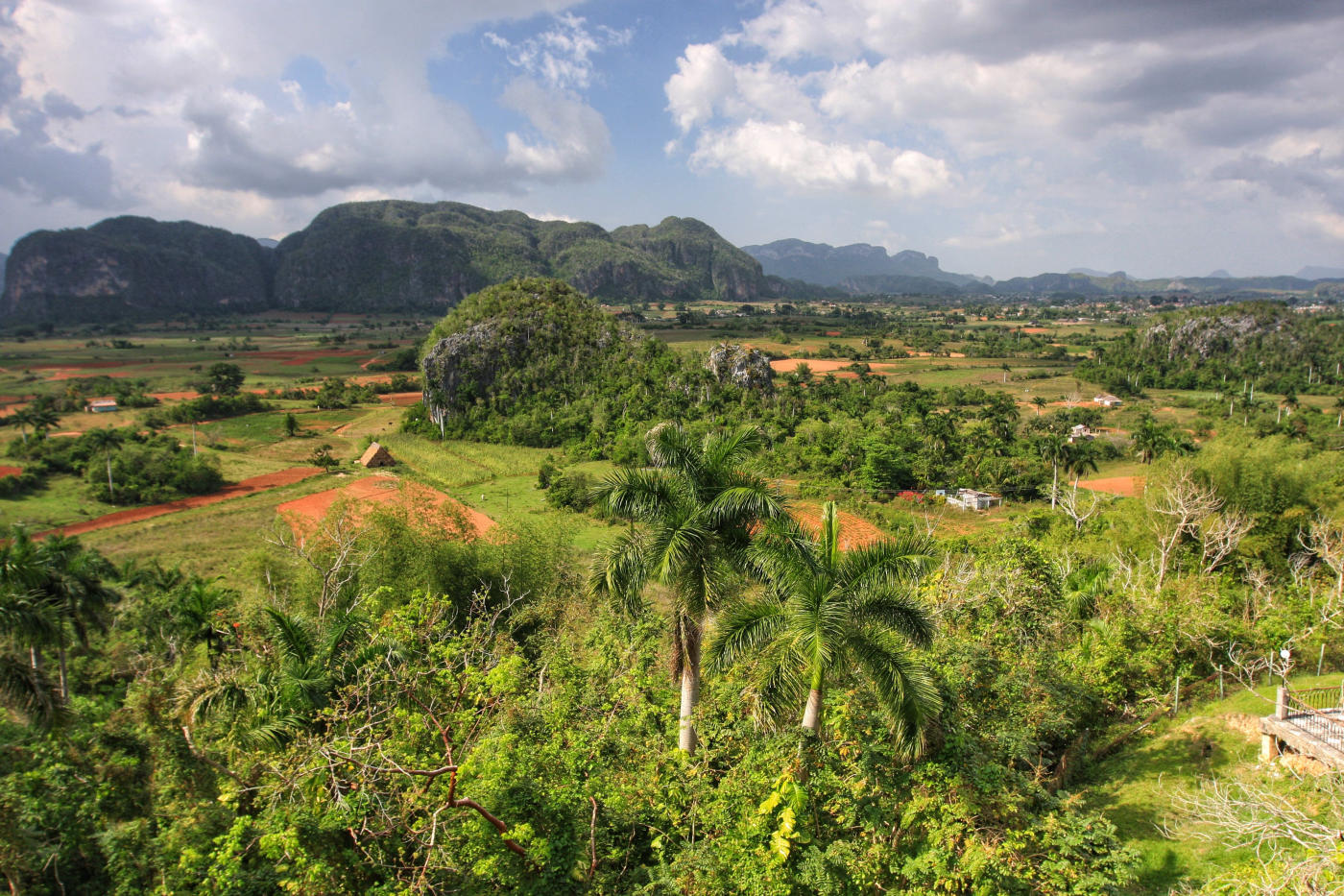 De La Habana a Viñales: piedra antigua y plantaciones de tabaco — photo 5
