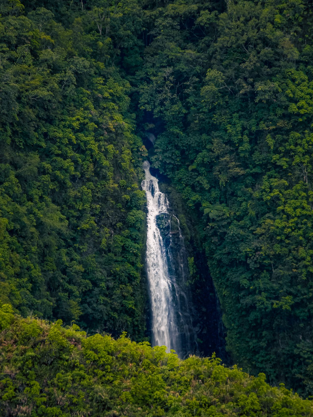 Ecolodge en la Selva Tropical