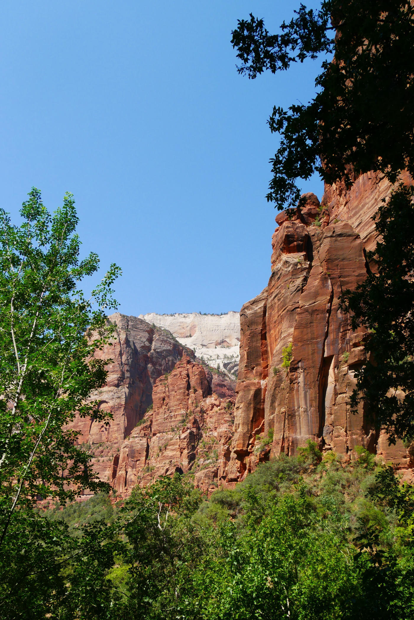 Las Vegas au Grand Canyon : les parcs de l'Ouest américain en famille — photo 3