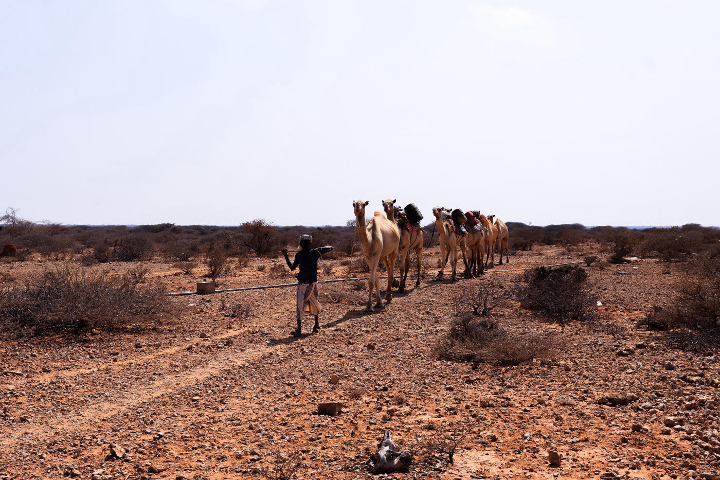 Lalibela au Danakil — photo 1