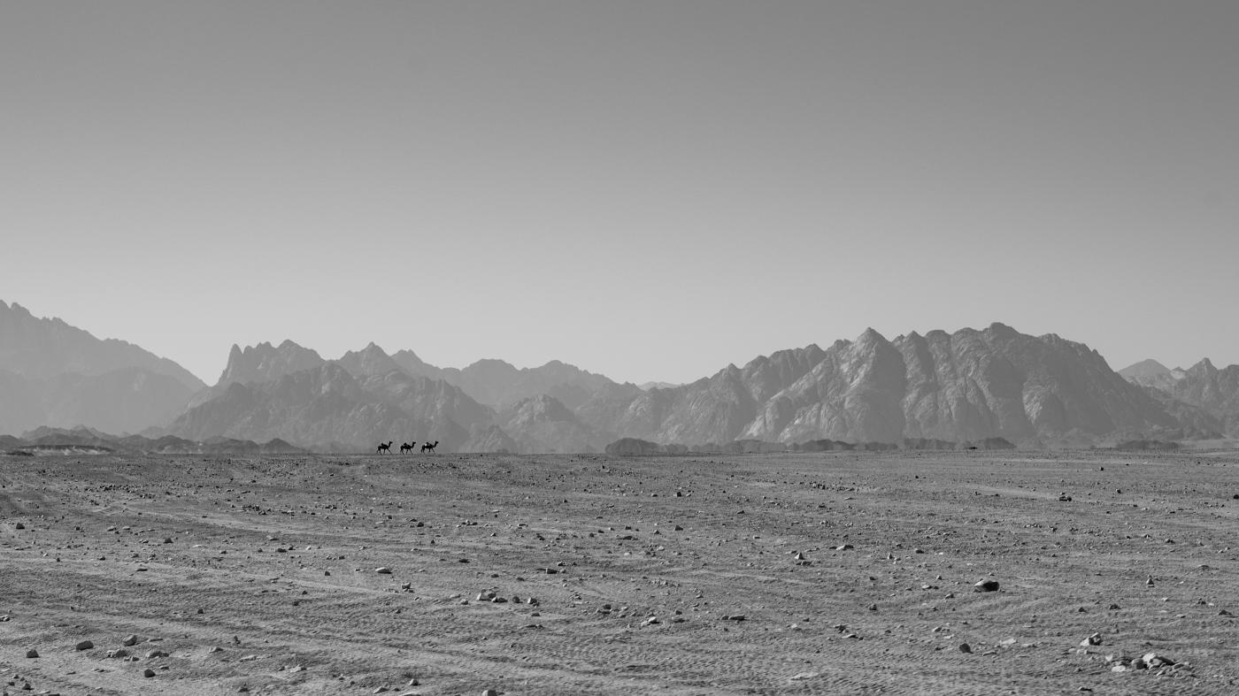 Camp de Tentes du Danakil