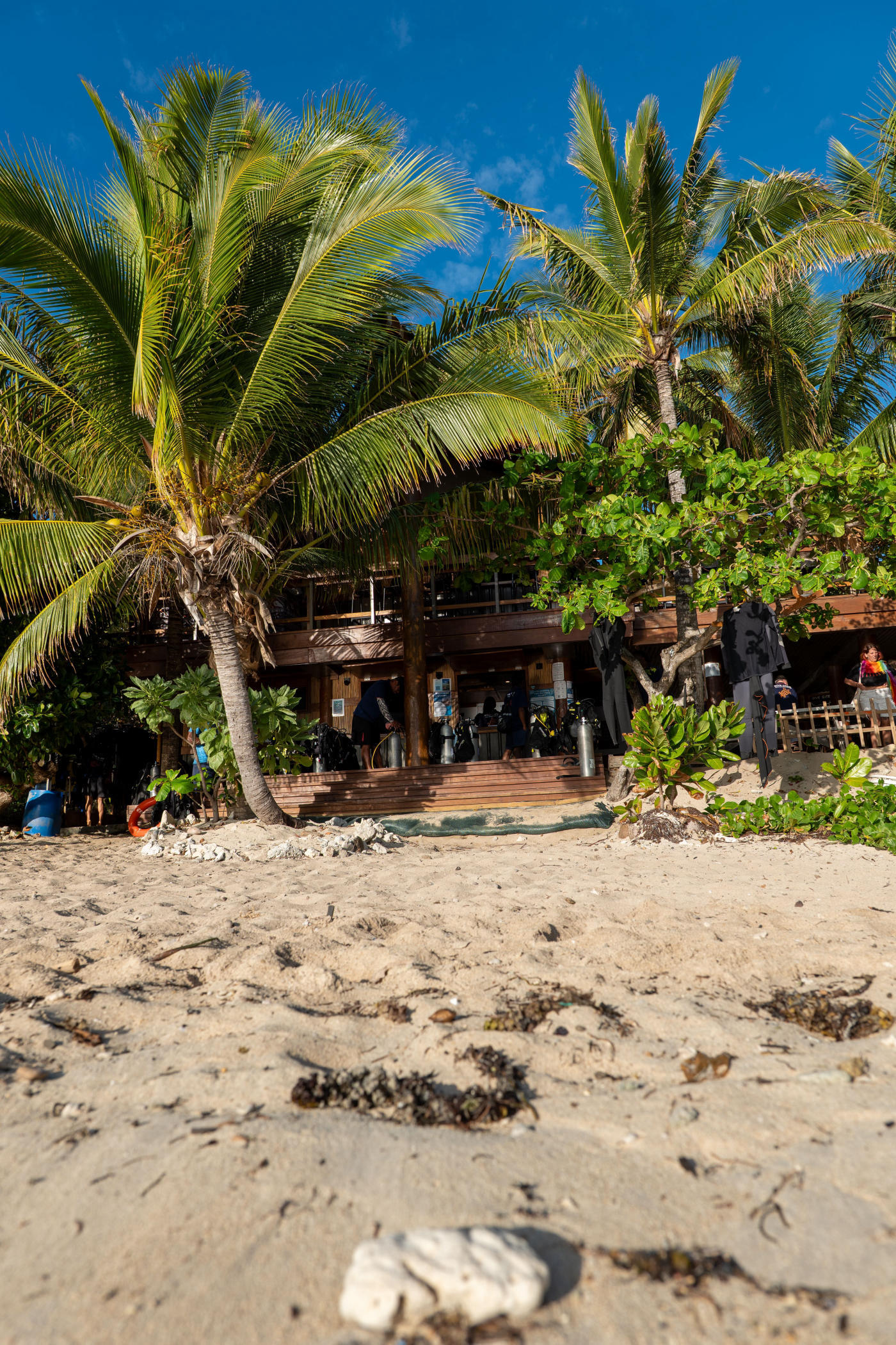 The Mamanuca Islands: Diving and Deserted Islands — photo 3