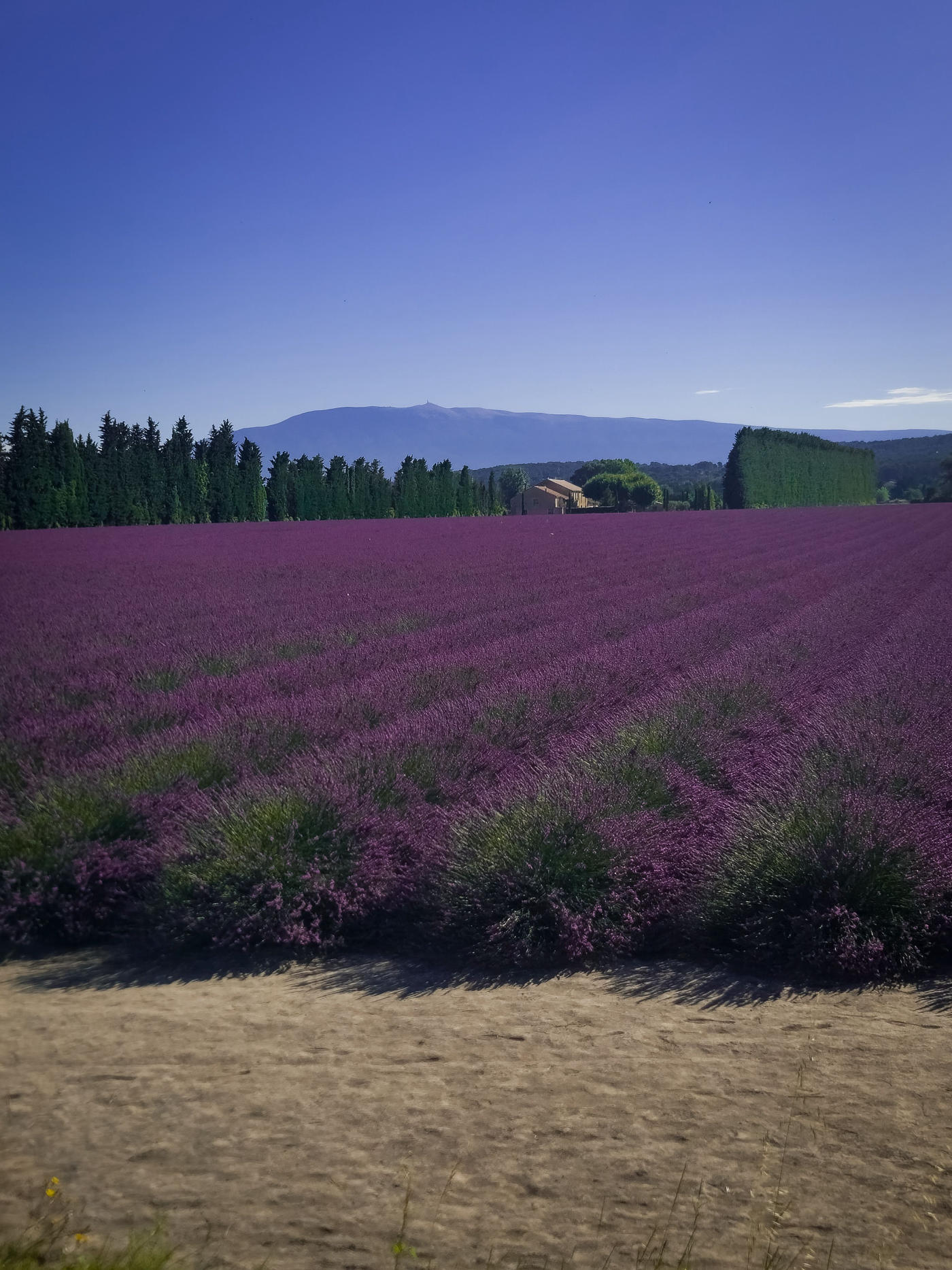 France: Paris, Provence & the Côte d'Azur — photo 5