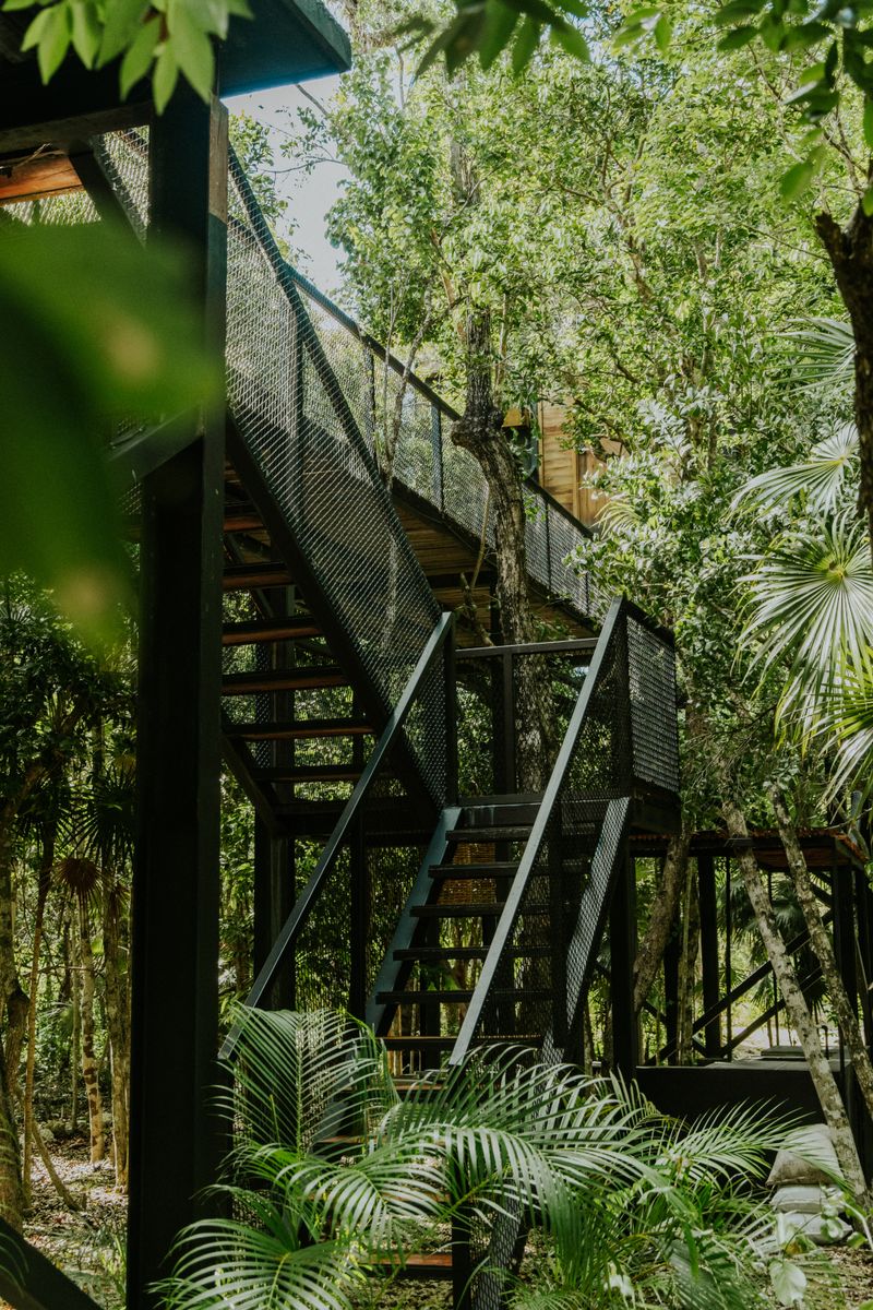 Iwokrama Jungle Lodge