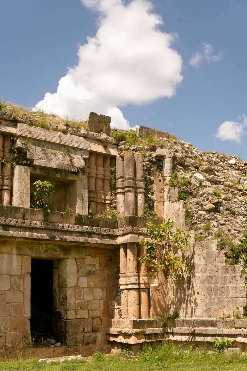 Copán à Roatán — photo 3