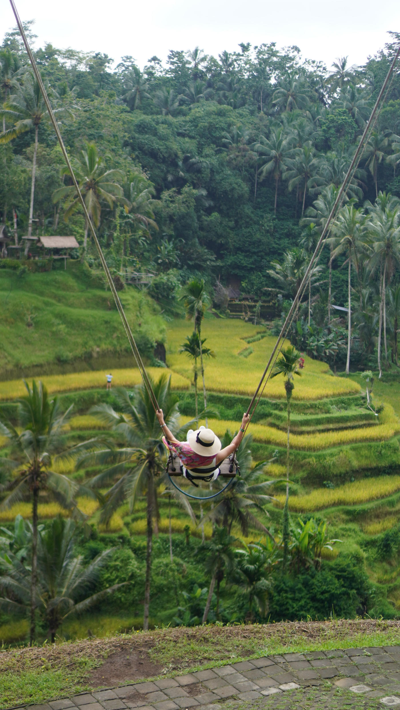 Ubud to Uluwatu: Rice Paddies and Cliffs of Bali — photo 3