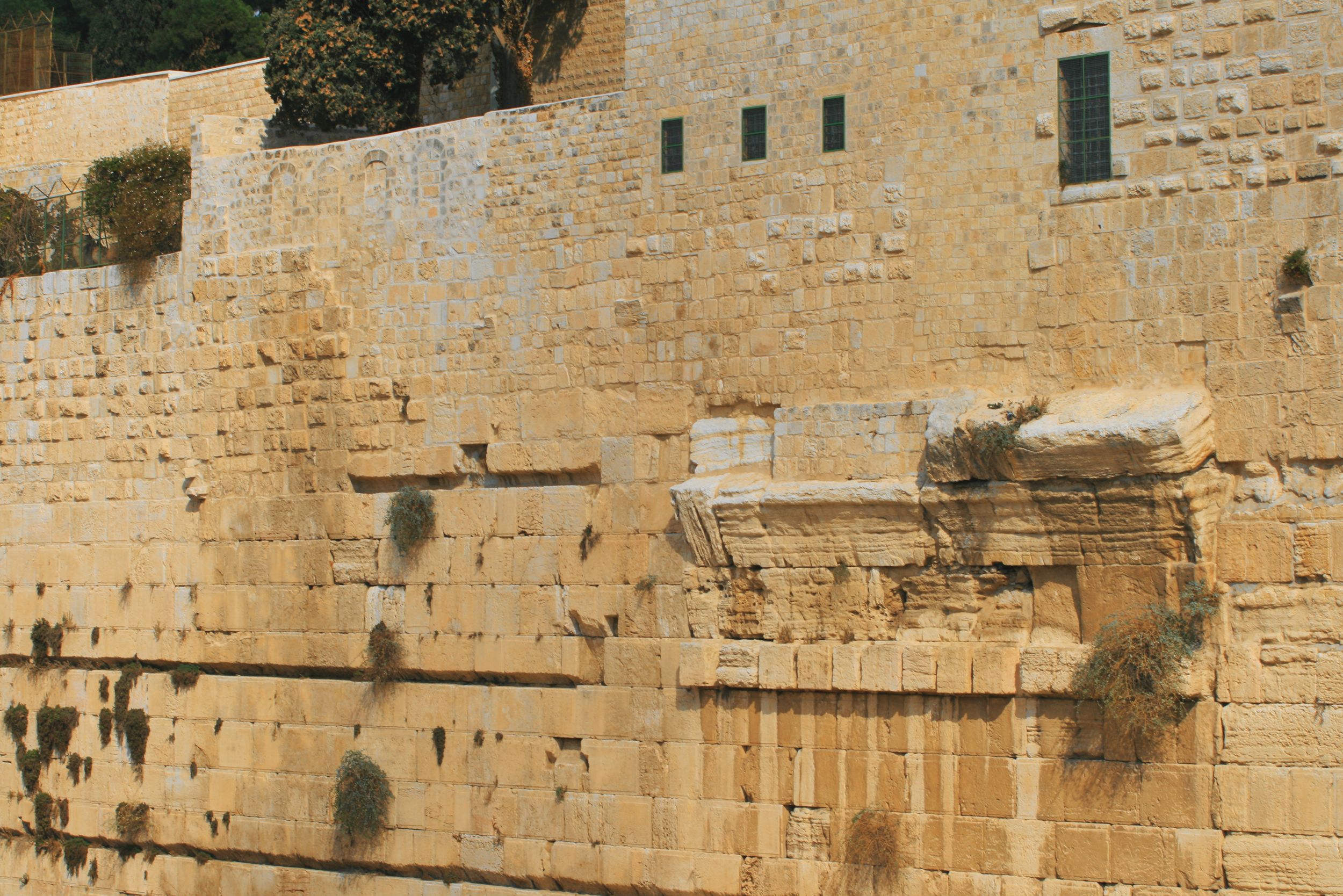 De Jerusalén al Mar Muerto — photo 3