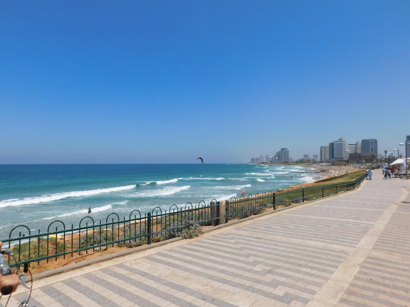 De Jerusalén al Mar Muerto — photo 7