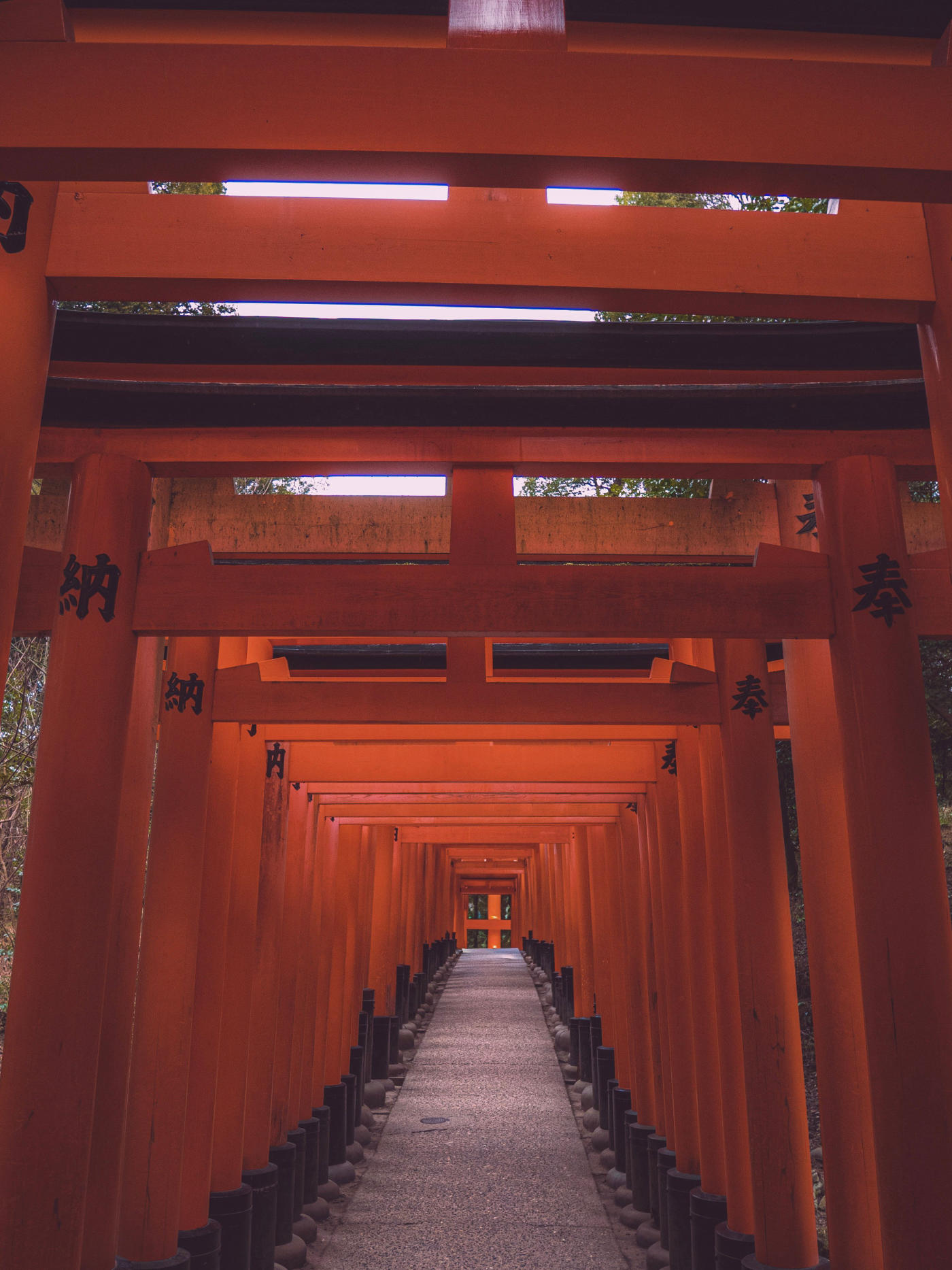 De Kioto a Tokio: el viejo y el nuevo Japón — photo 3