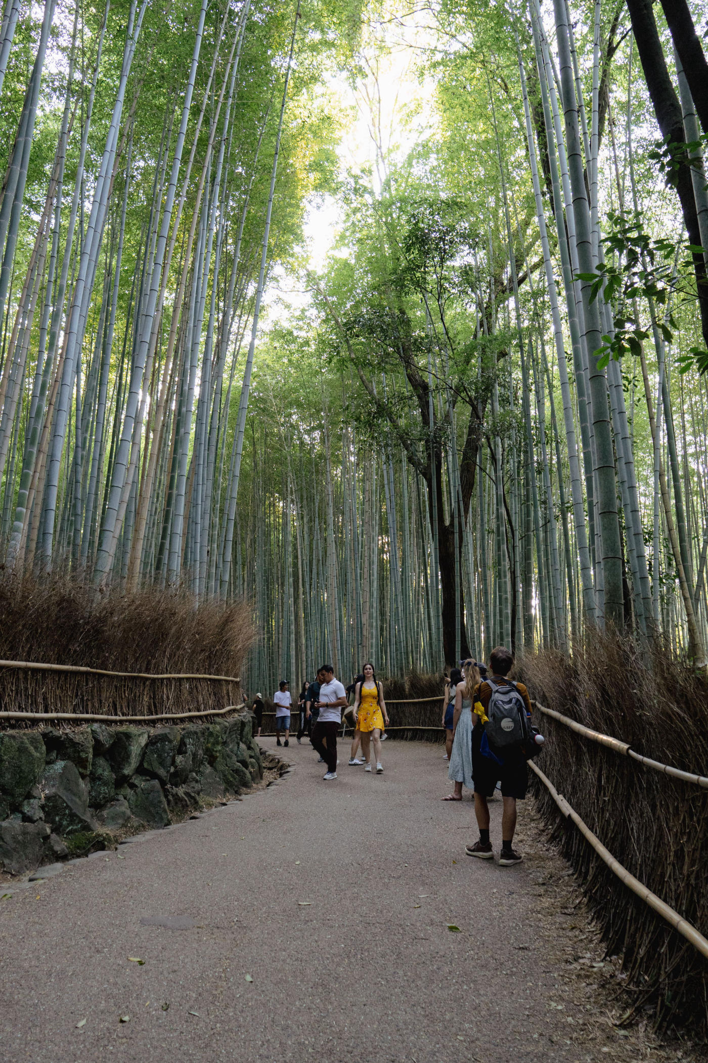 De Kioto a Tokio: el viejo y el nuevo Japón — photo 4