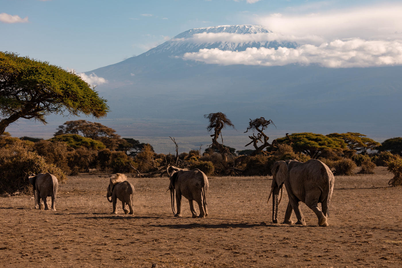 Kenya : la grande migration — photo 6