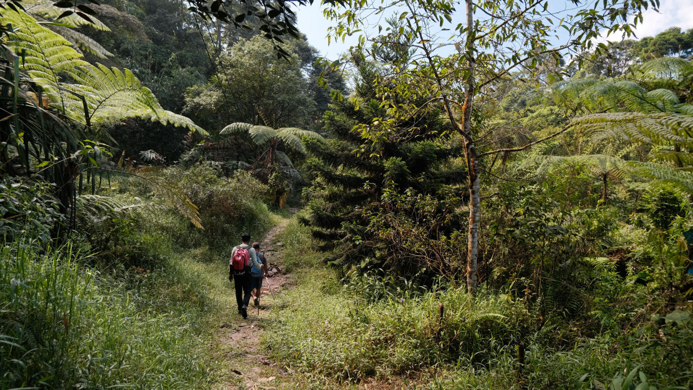 Andasibe Forest Lodge